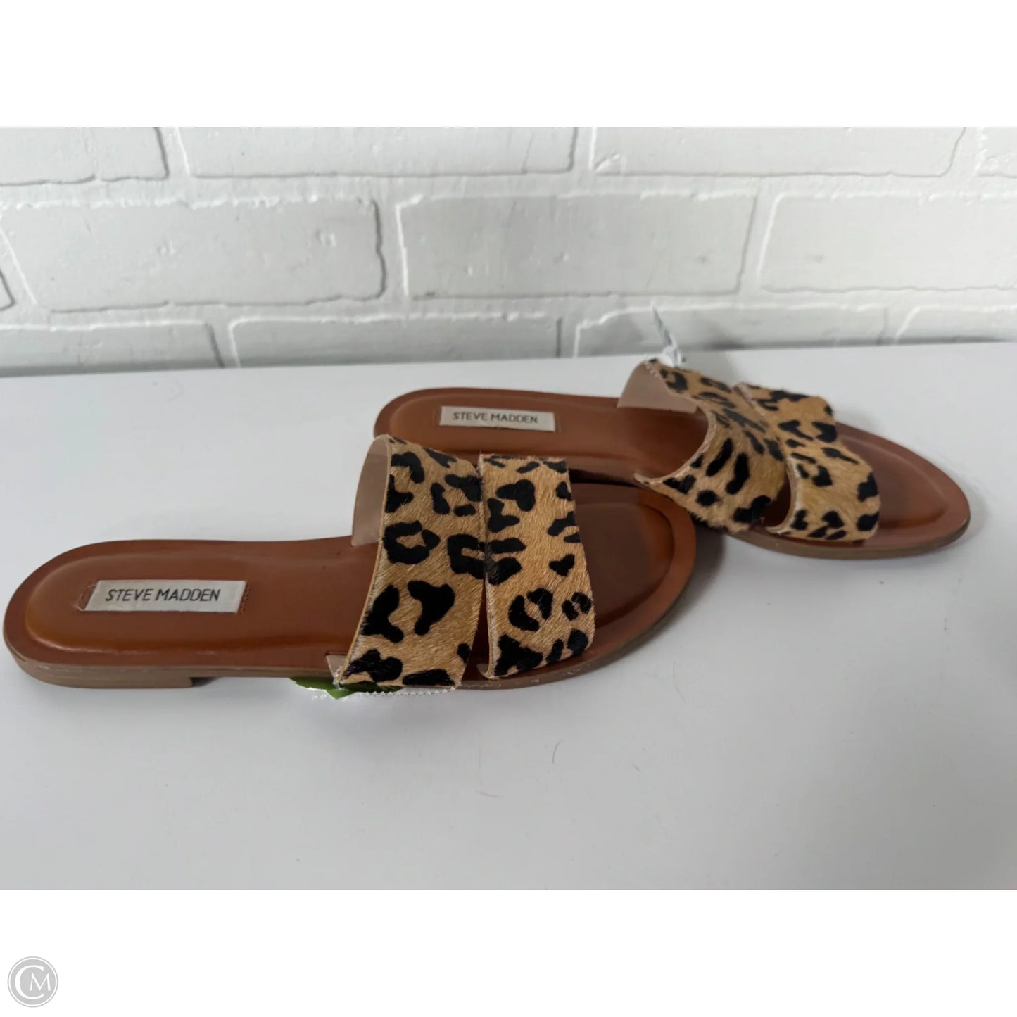 Sandals Flats By Steve Madden In Animal Print, Size: 9.5