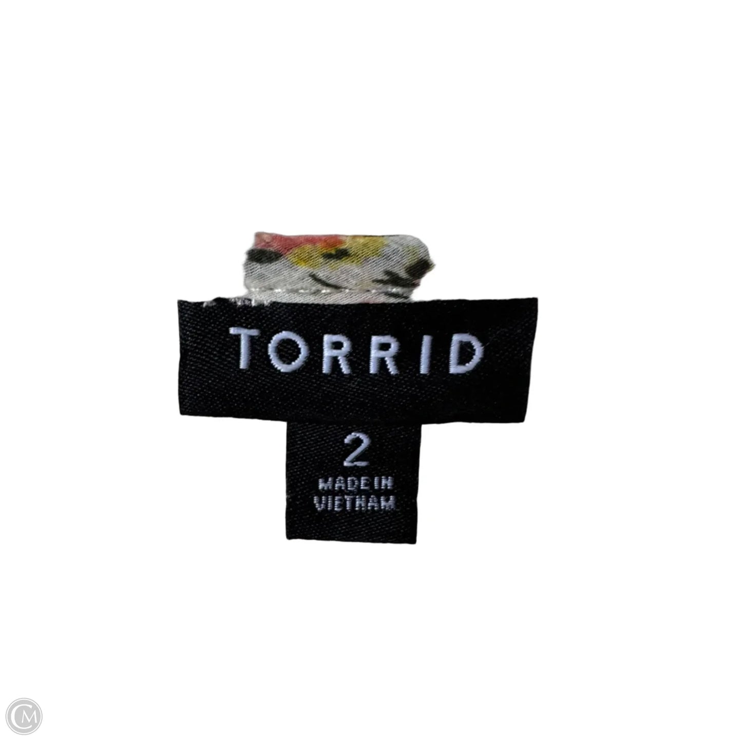 Top Long Sleeve By Torrid In Cream & Pink, Size: 2x