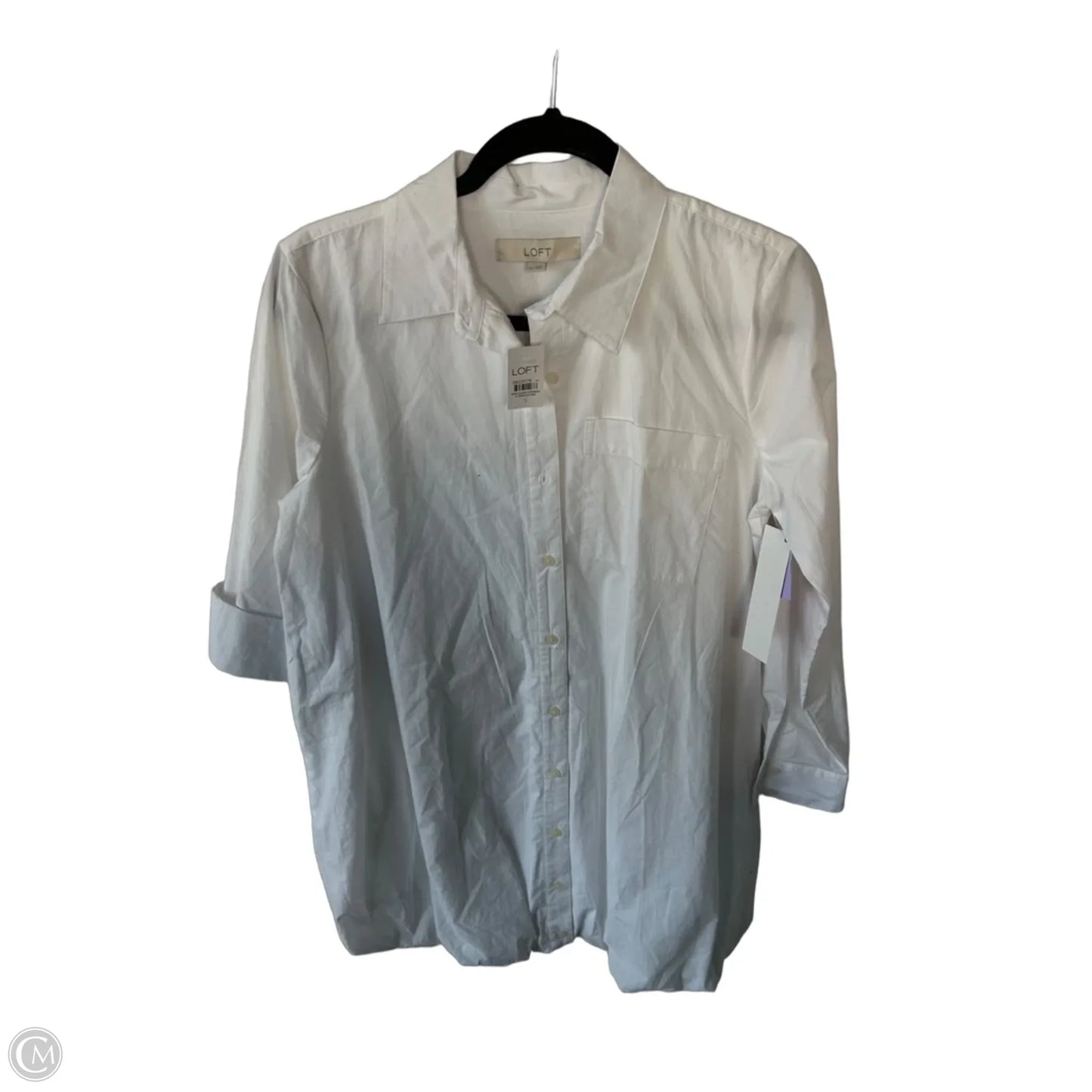 Dress Casual Short By Loft In White, Size: S