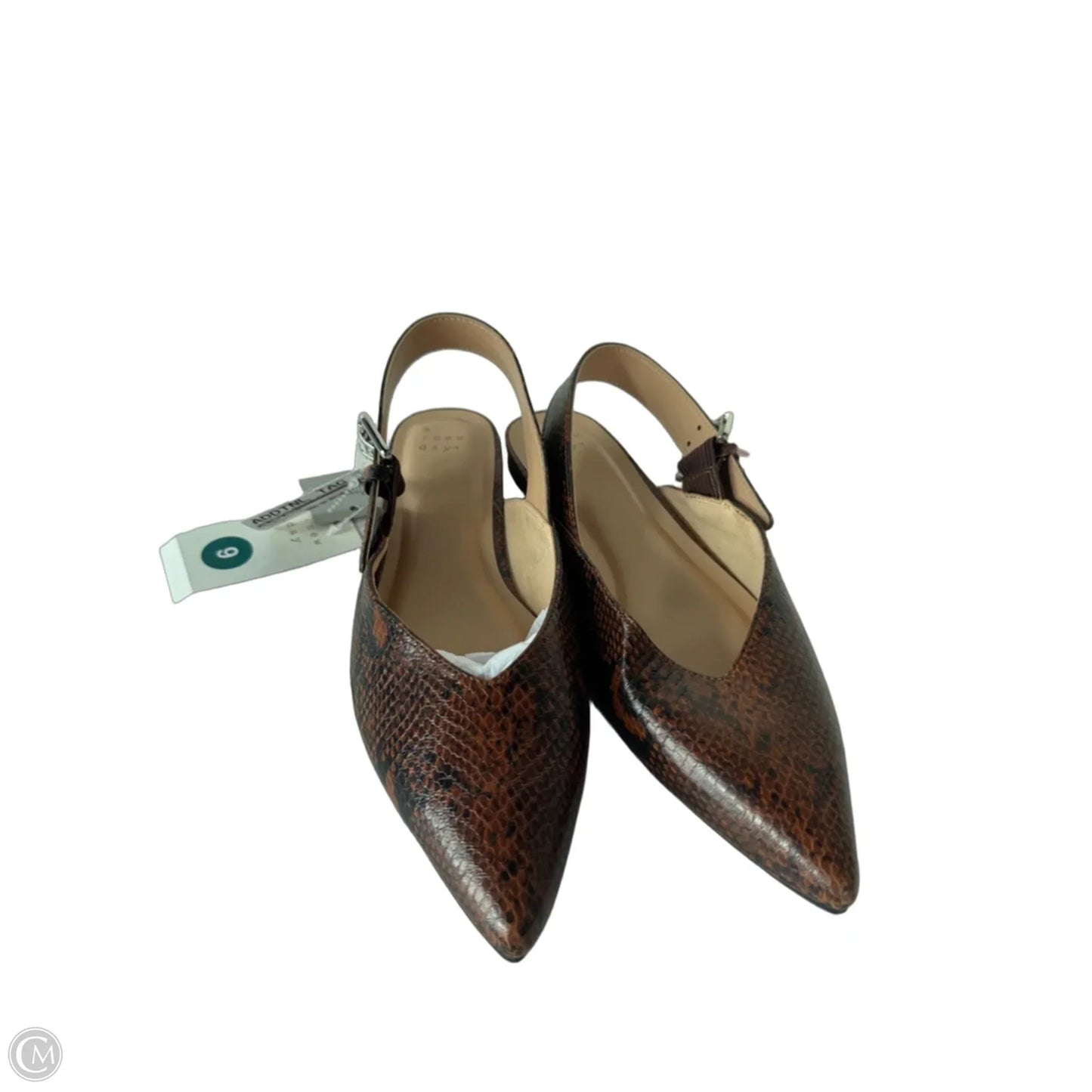 Shoes Flats By A New Day In Snakeskin Print, Size: 9