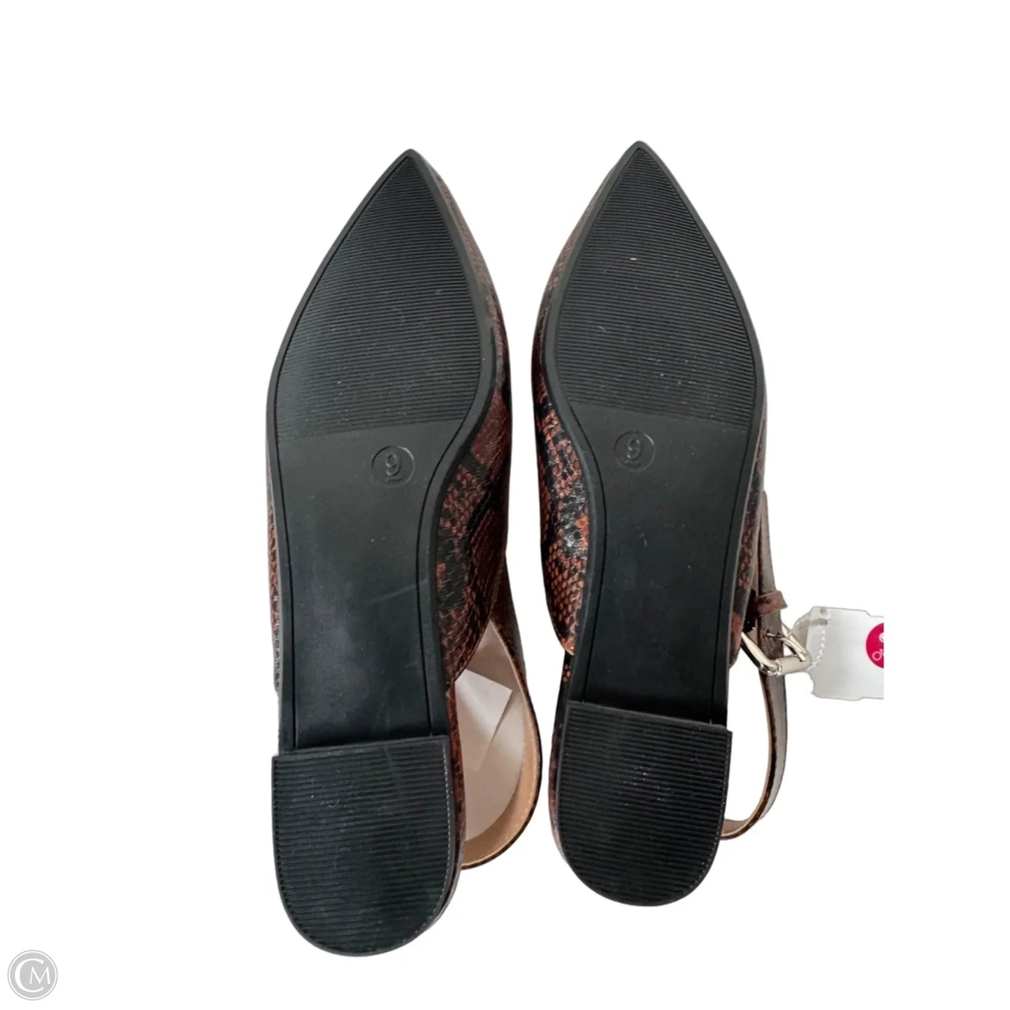 Shoes Flats By A New Day In Snakeskin Print, Size: 9