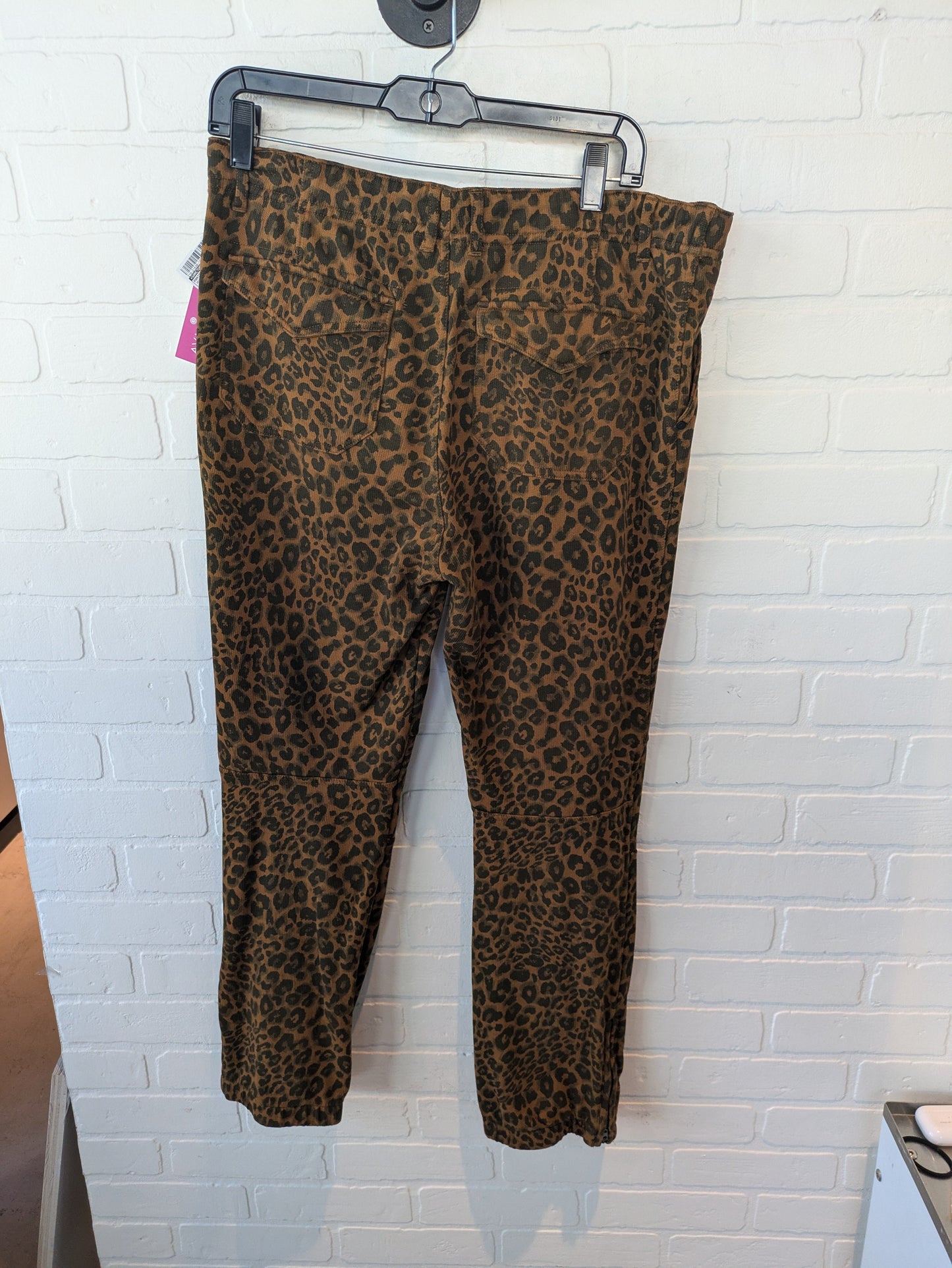 Pants Other By Sanctuary In Animal Print, Size: 12