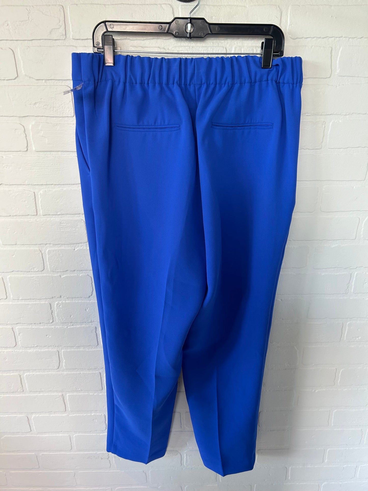 Pants Other By Ann Taylor  Size: 12