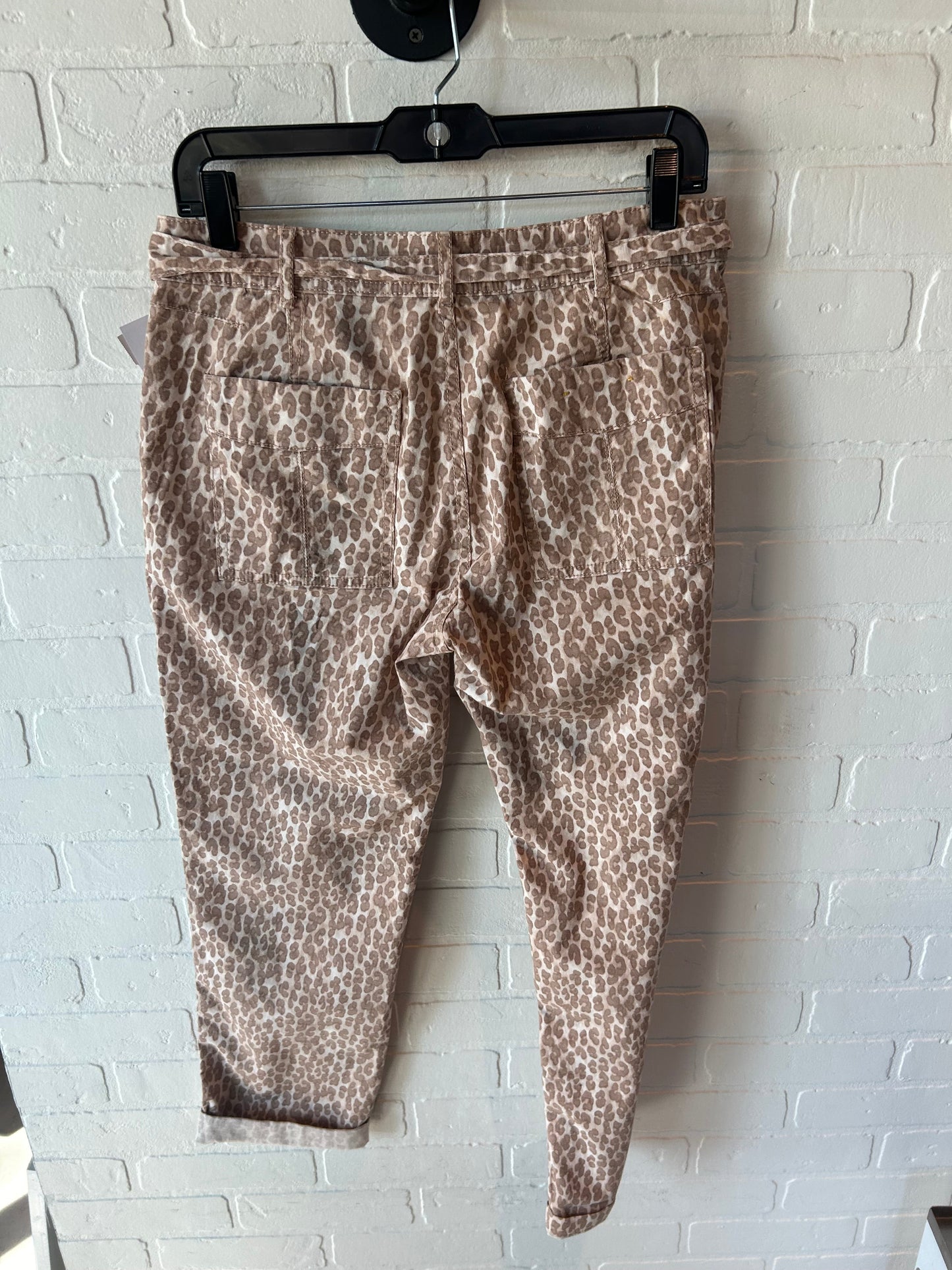 Pants Other By Anthropologie In Brown & Cream, Size: 6