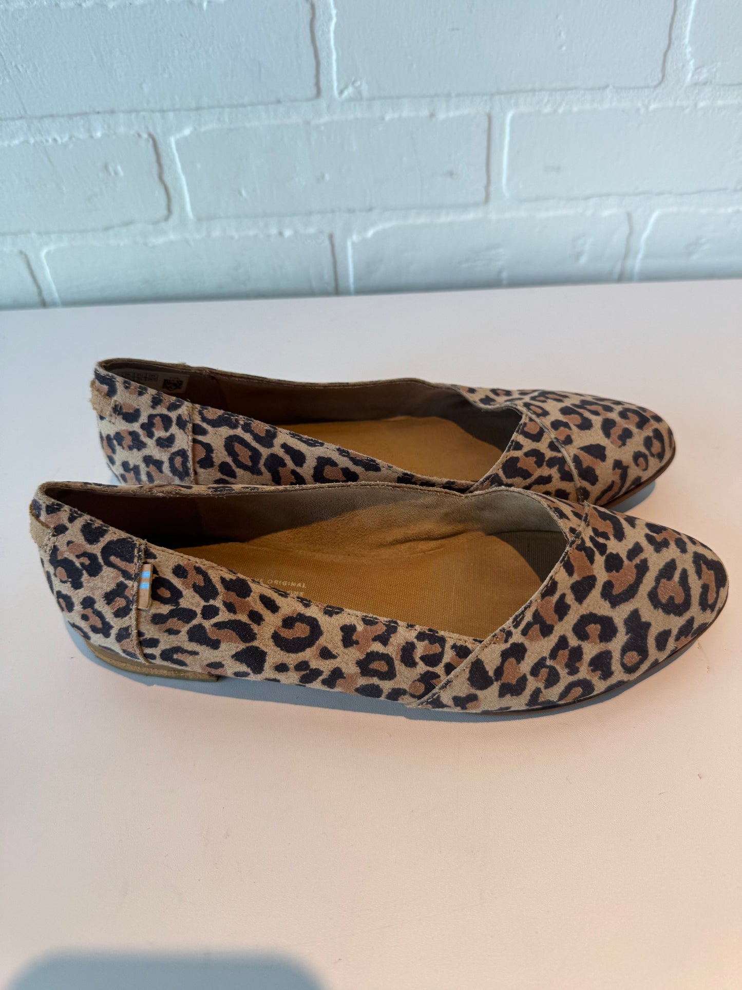 Shoes Flats By Toms In Animal Print, Size: 7.5