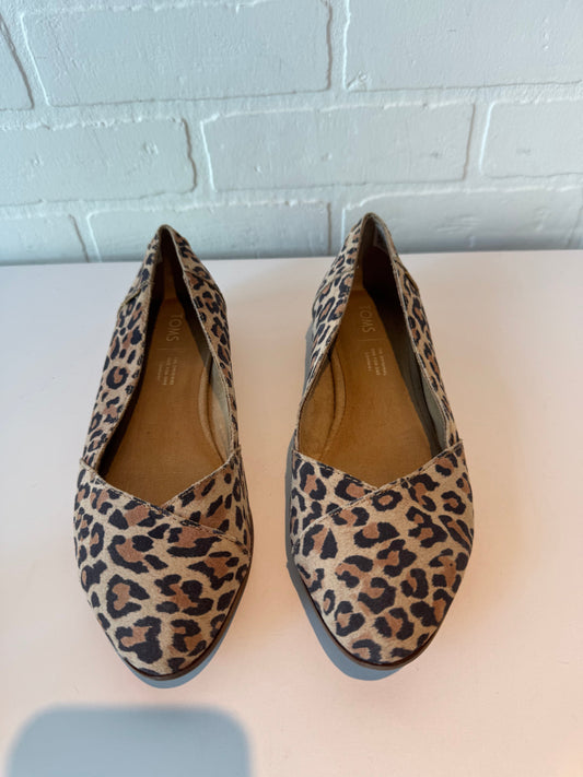 Shoes Flats By Toms In Animal Print, Size: 7.5