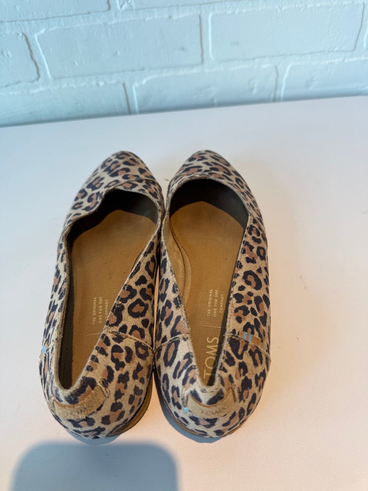 Shoes Flats By Toms In Animal Print, Size: 7.5