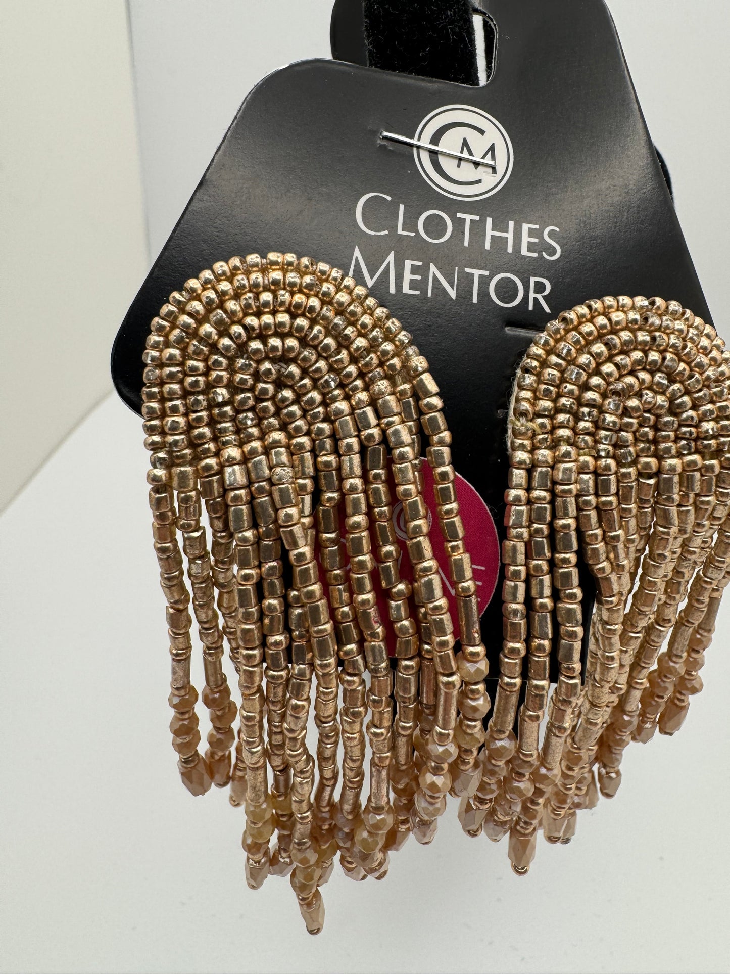 Earrings Dangle/drop By Chicos