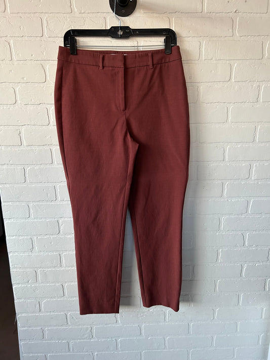 Pants Other By White House Black Market In Brown, Size: 6