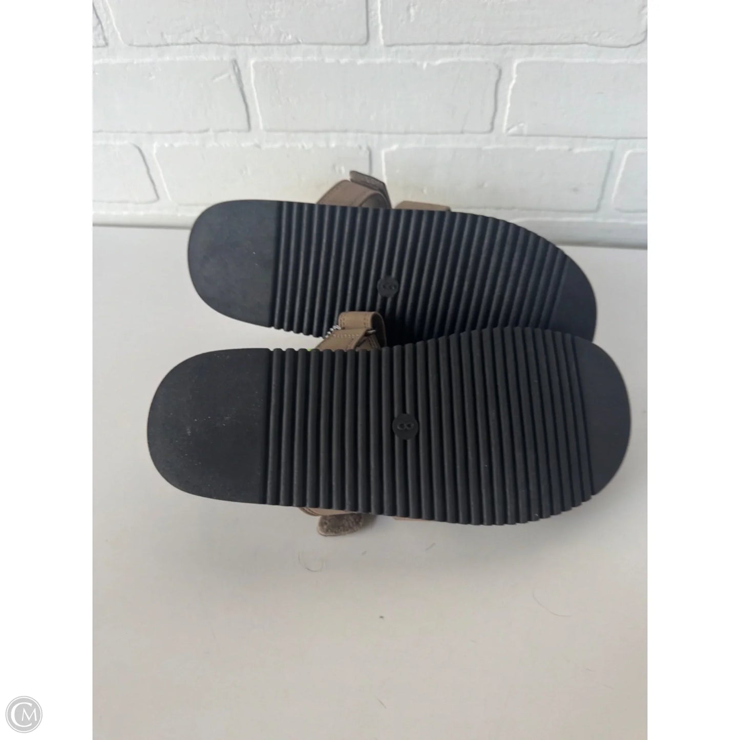 Sandals Flats By Steve Madden In Brown, Size: 8