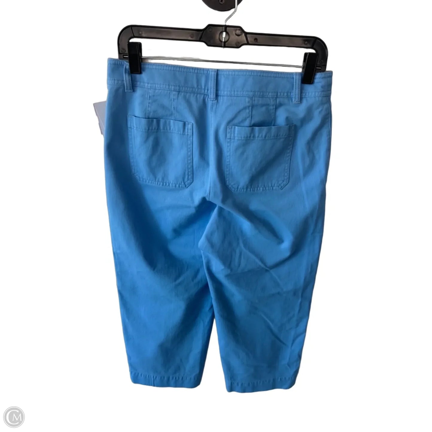 Pants Wide Leg By Talbots In Blue, Size: 4p