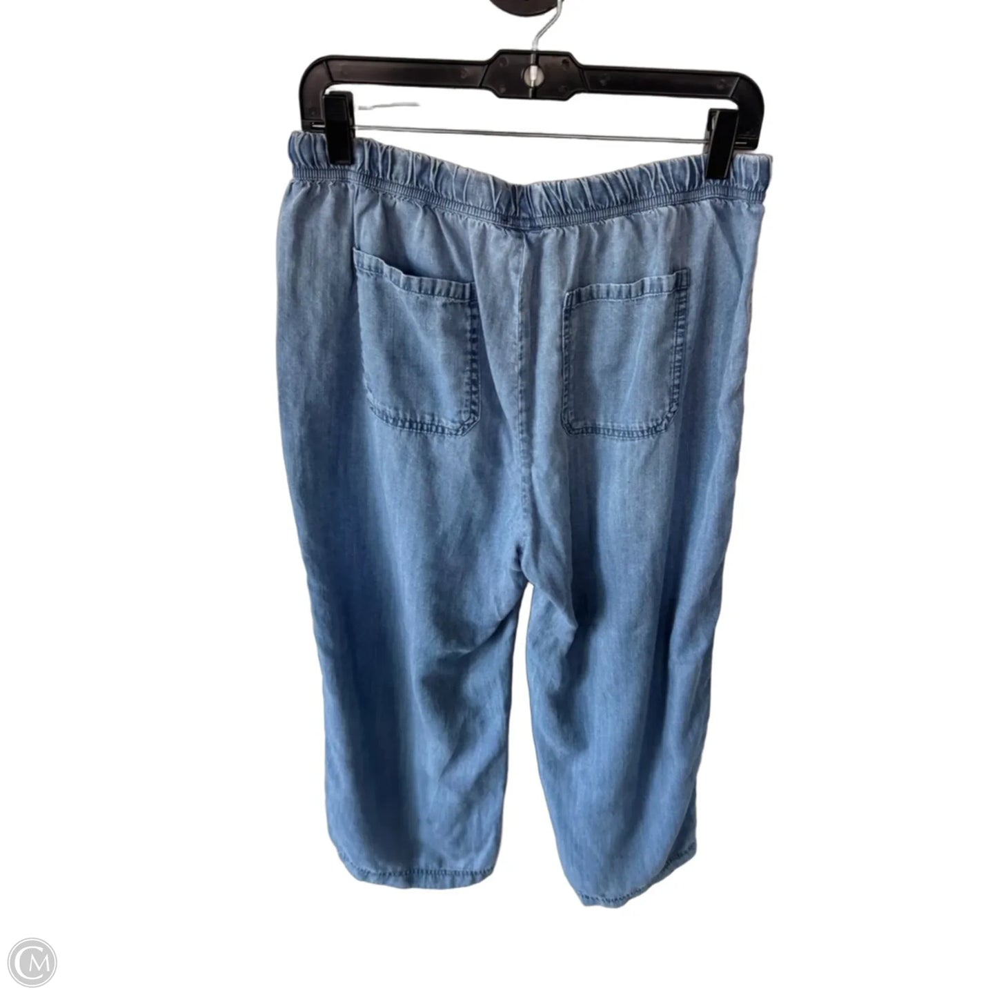 Pants Wide Leg By Splendid In Blue, Size: 8
