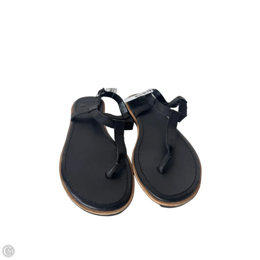 Sandals Flats By Sorel In Black, Size: 8