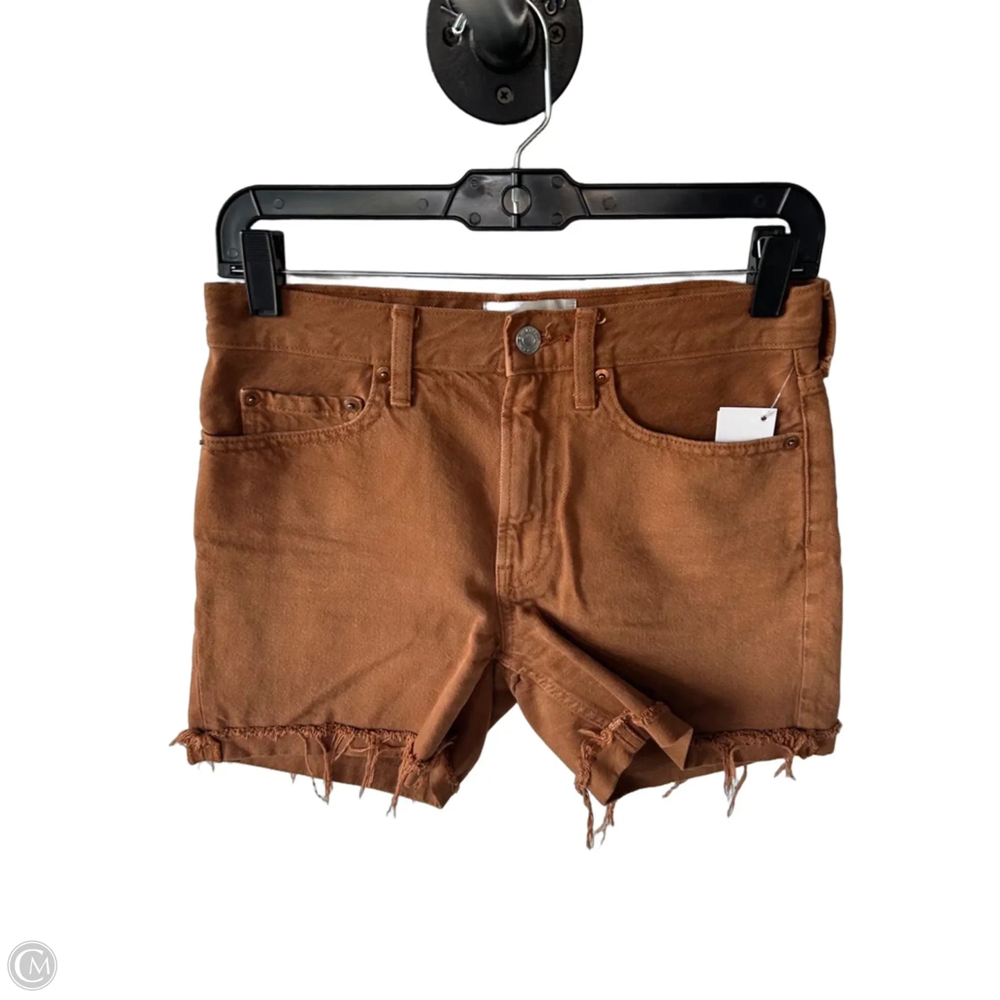 Shorts By Everlane In Brown, Size: 0