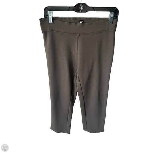 Pants Other By Eileen Fisher In Brown, Size: 4p
