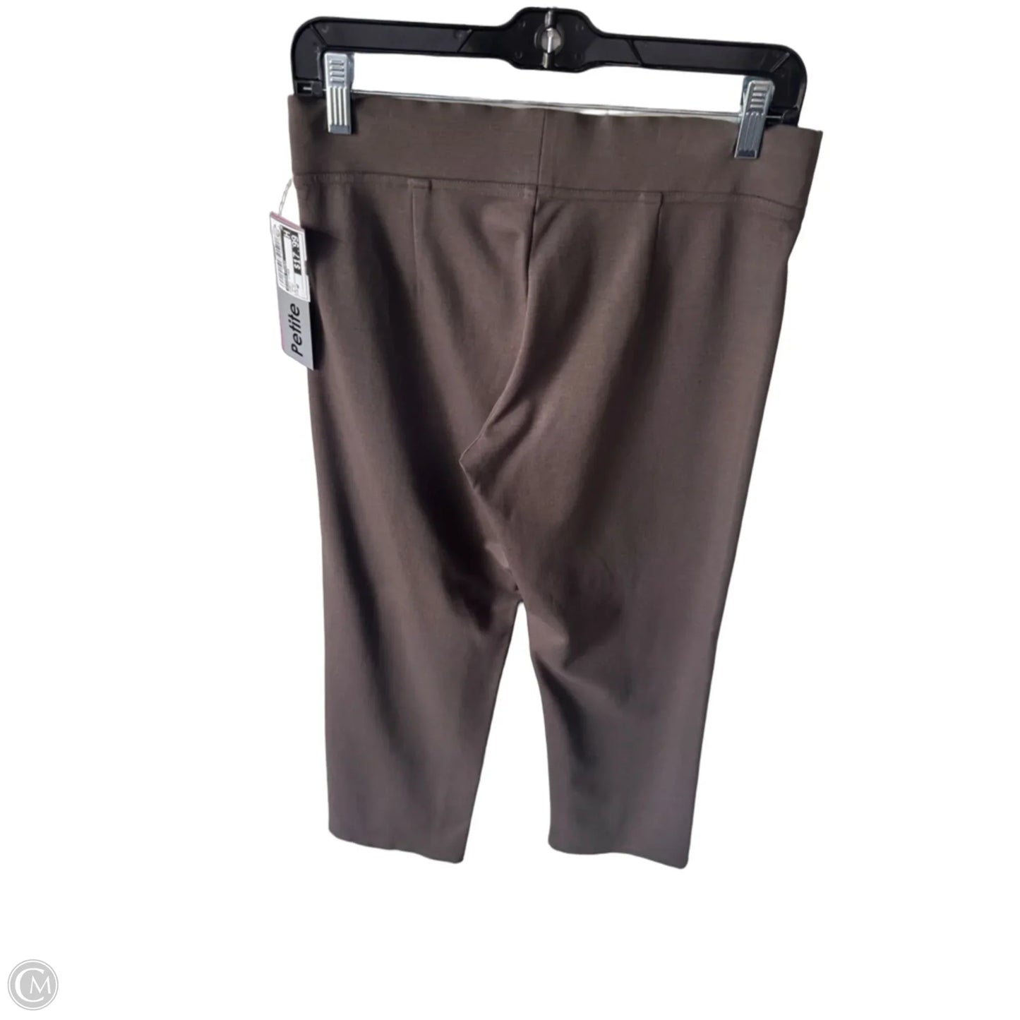 Pants Other By Eileen Fisher In Brown, Size: 4p