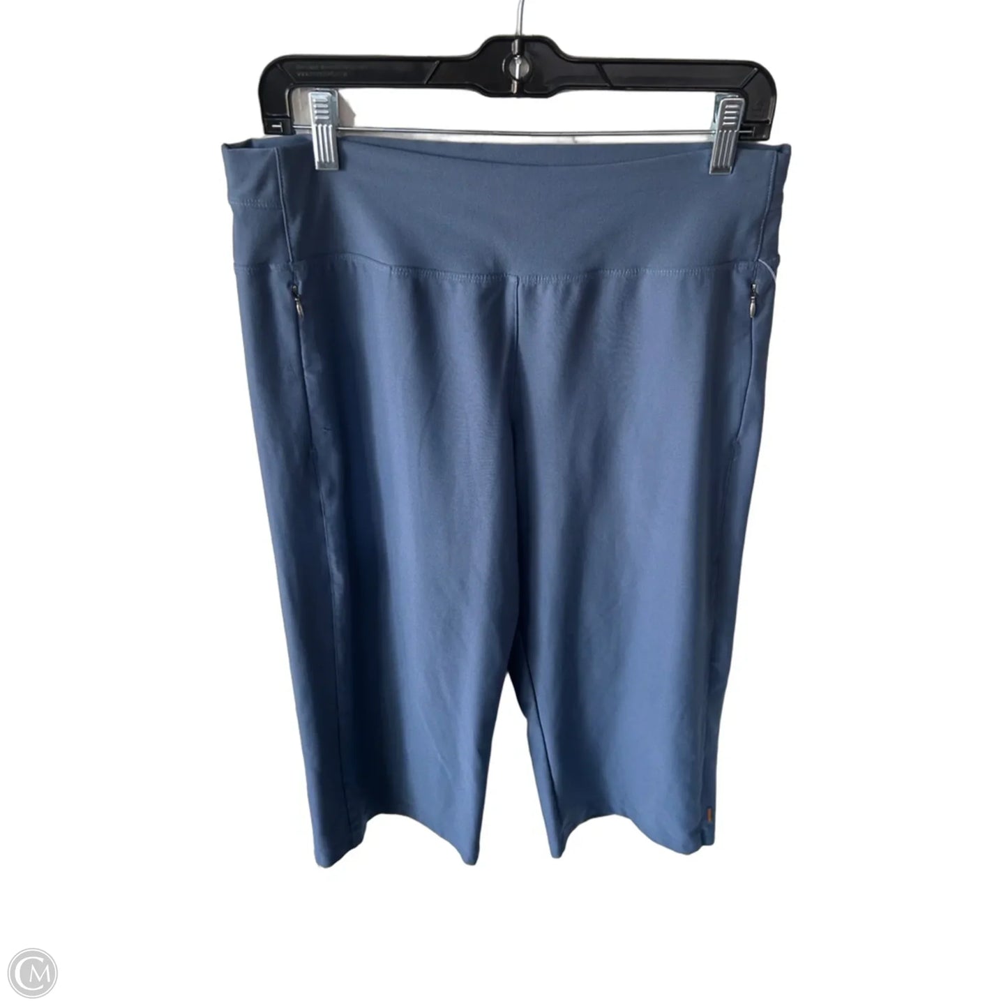 Athletic Pants By Lucy In Blue, Size: 8