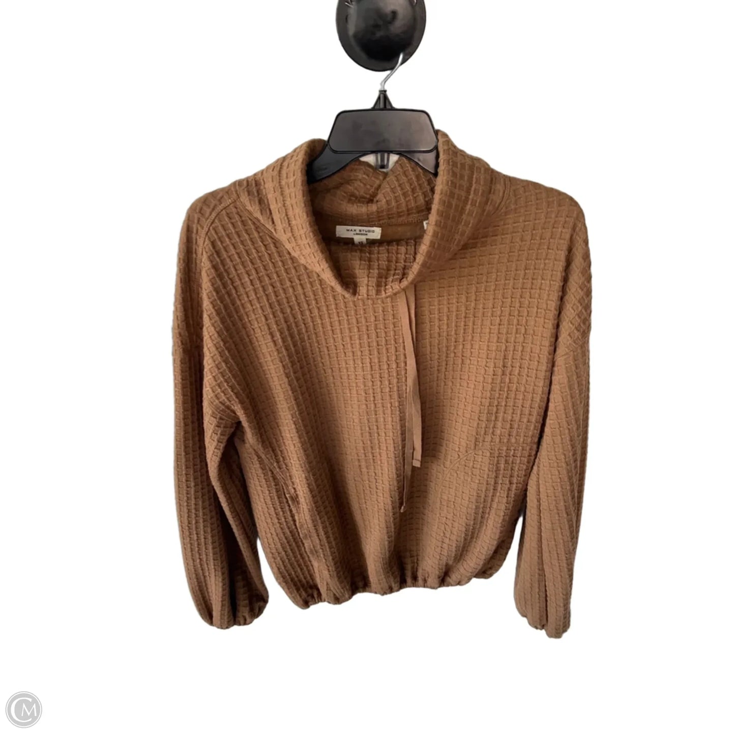 Top Long Sleeve By Max Studio In Brown, Size: Xs