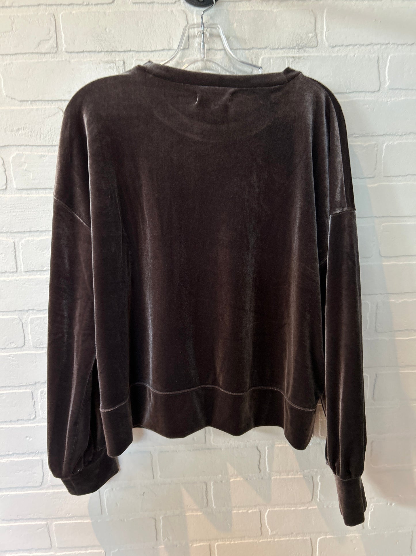 Brown Top Long Sleeve Madewell, Size L