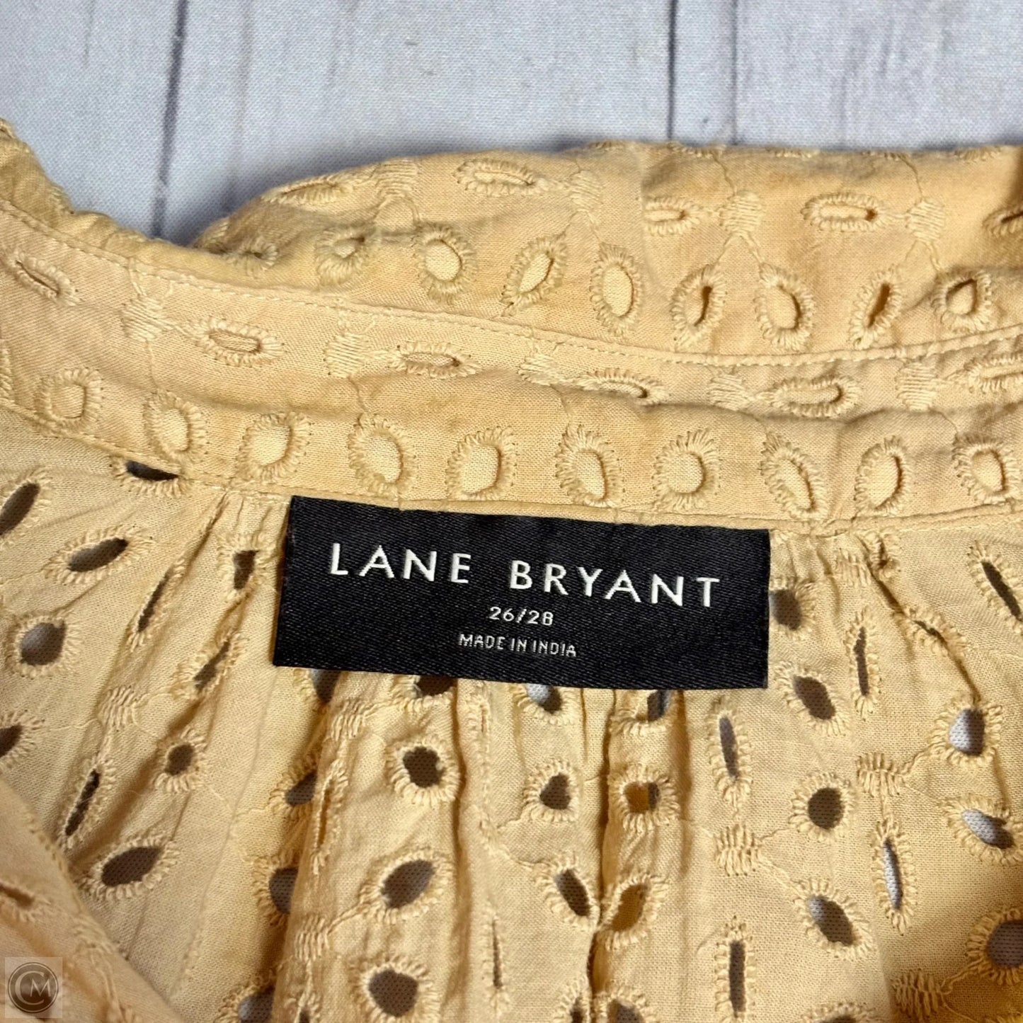 Top Long Sleeve By Lane Bryant In Tan, Size: 4x