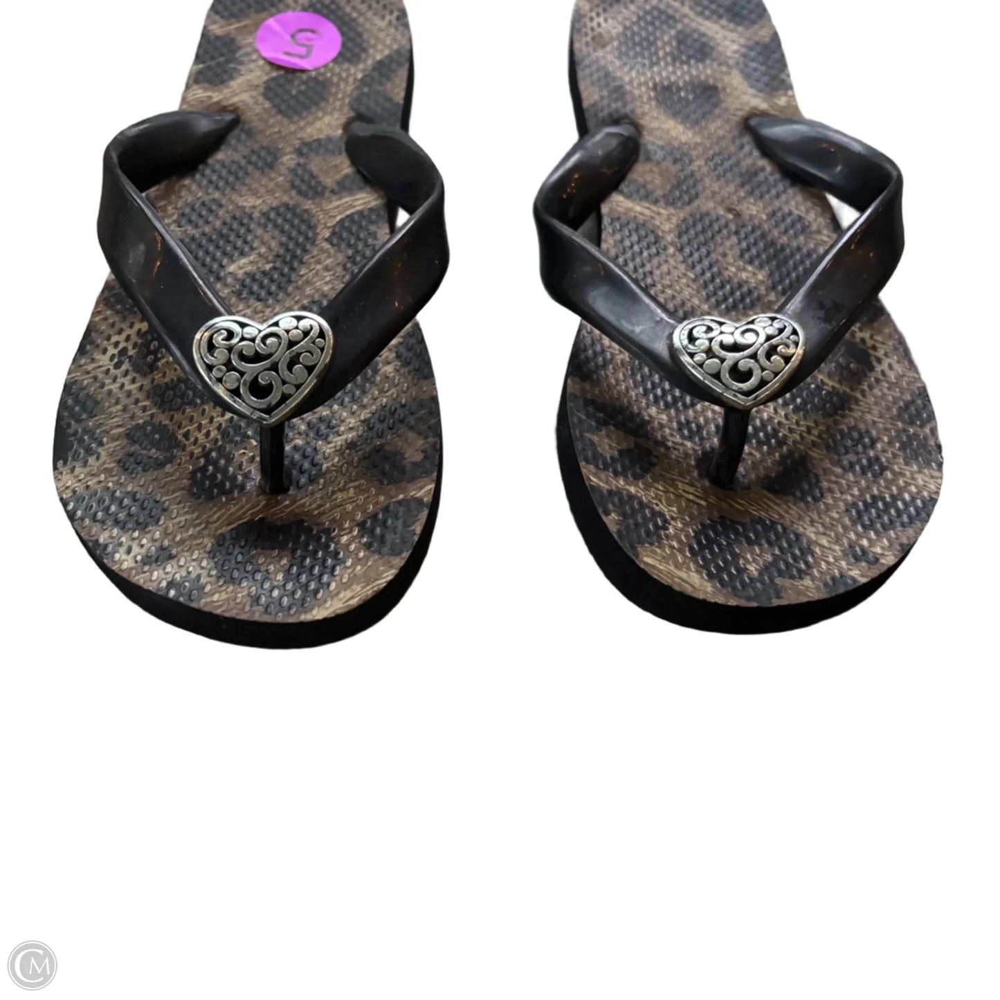 Sandals Flip Flops By Brighton In Animal Print, Size: 5