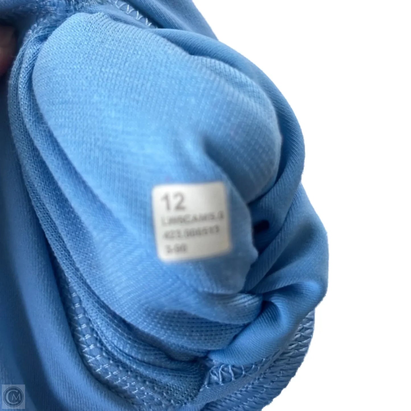 Athletic Leggings By Lululemon In Blue, Size: L