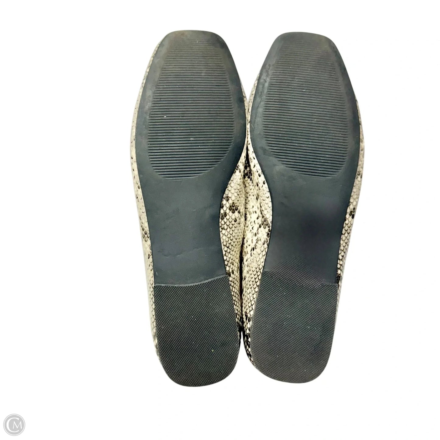 Shoes Flats By Steve Madden In Snakeskin Print, Size: 9