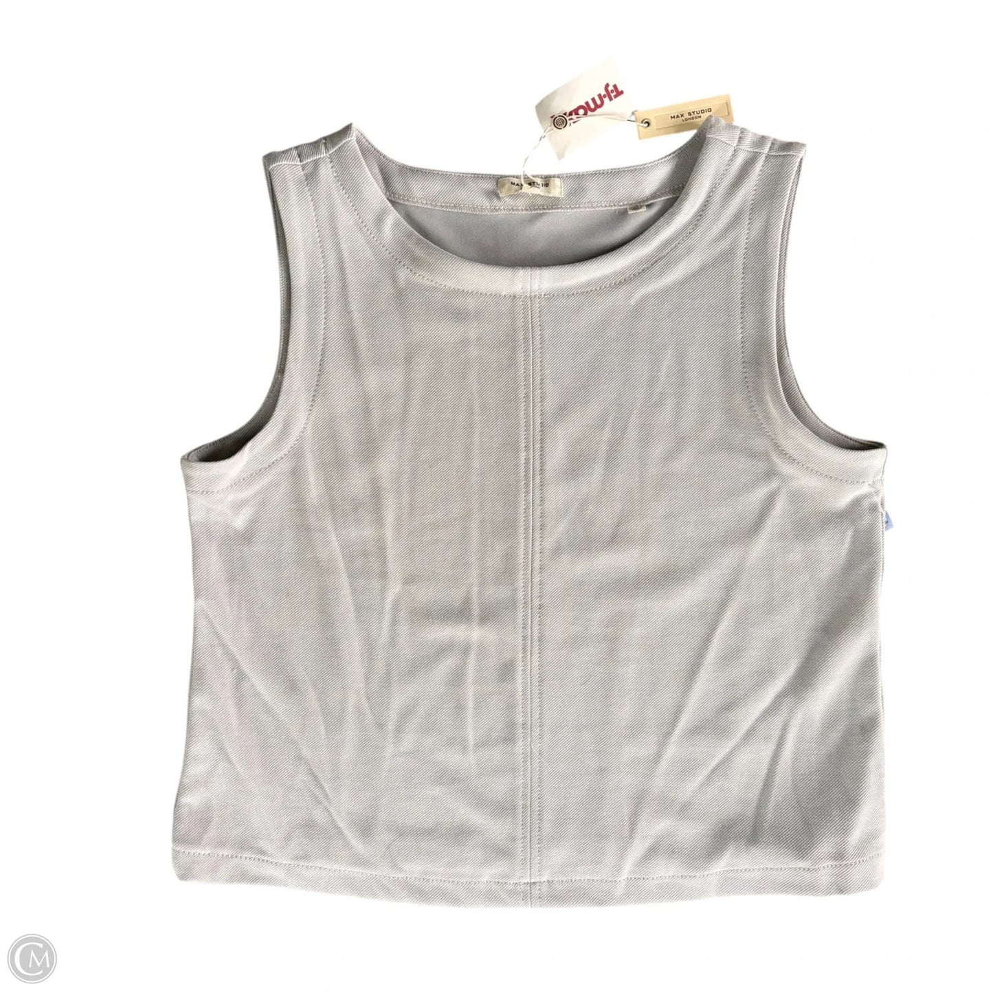 Pants Set 2pc By Max Studio In Grey, Size: L