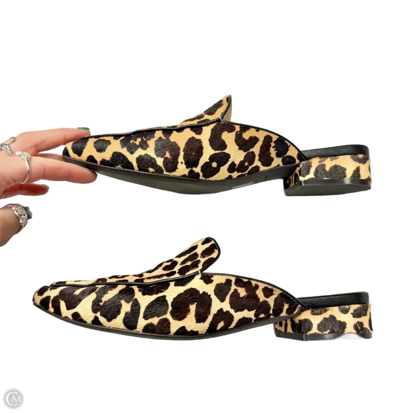 Shoes Flats By Cole-haan In Leopard Print, Size: 7