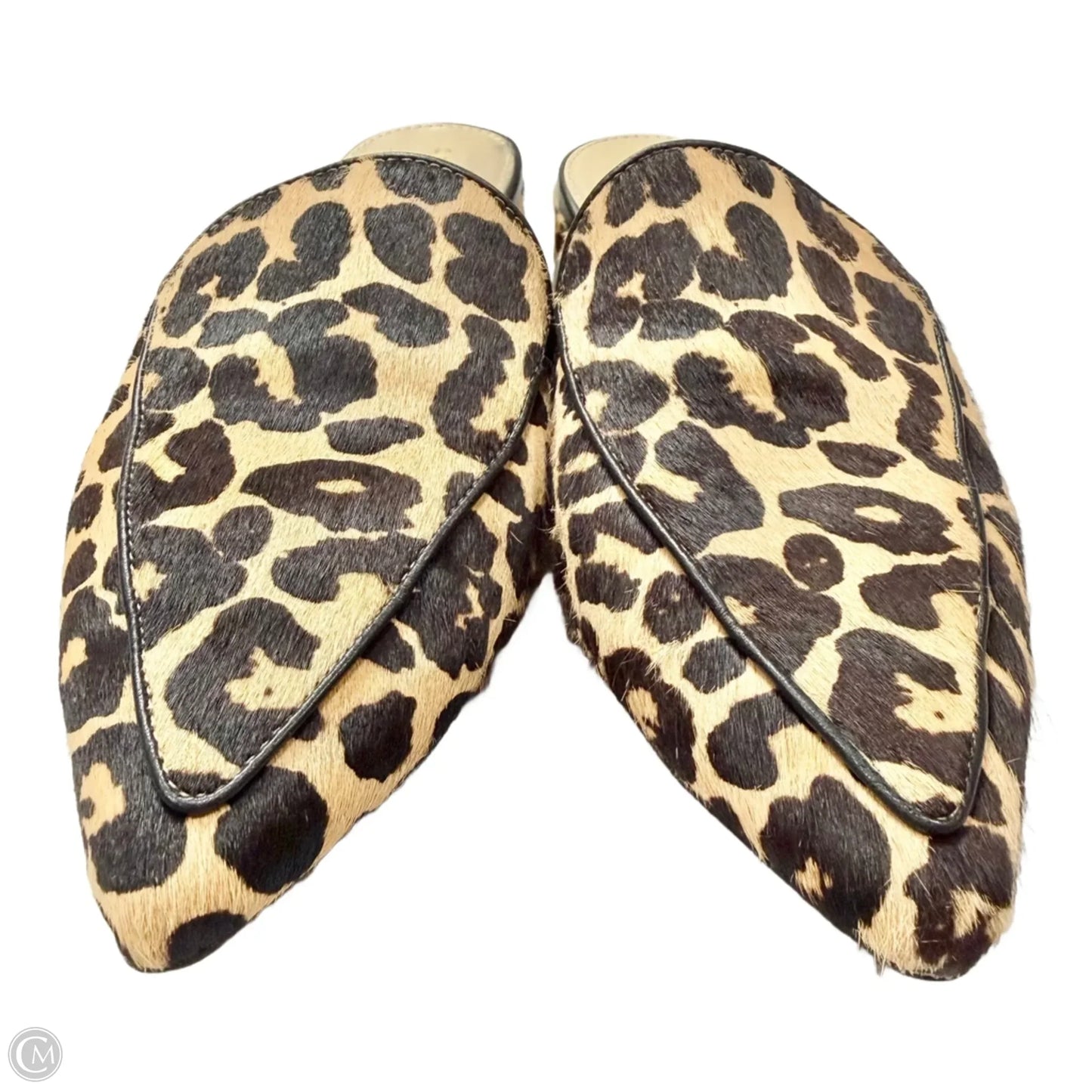 Shoes Flats By Cole-haan In Leopard Print, Size: 7