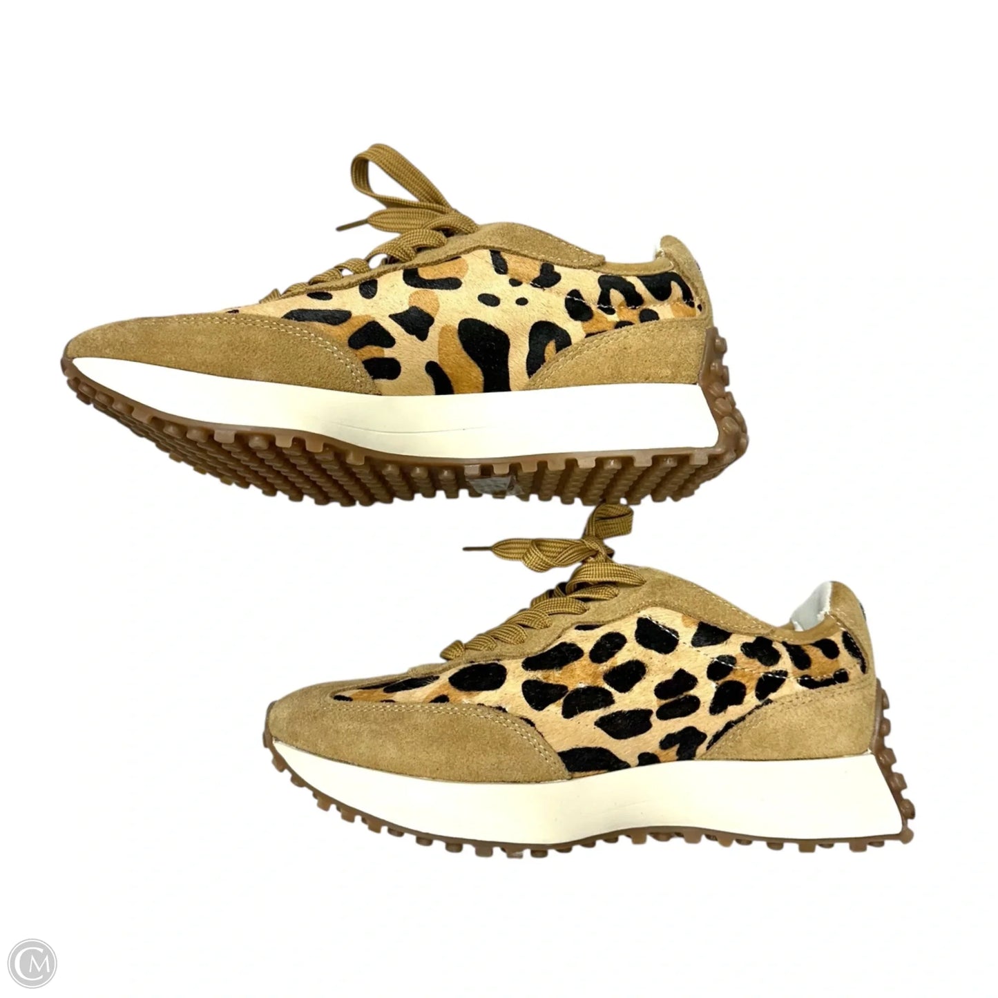 Shoes Sneakers By Steve Madden In Leopard Print, Size: 7