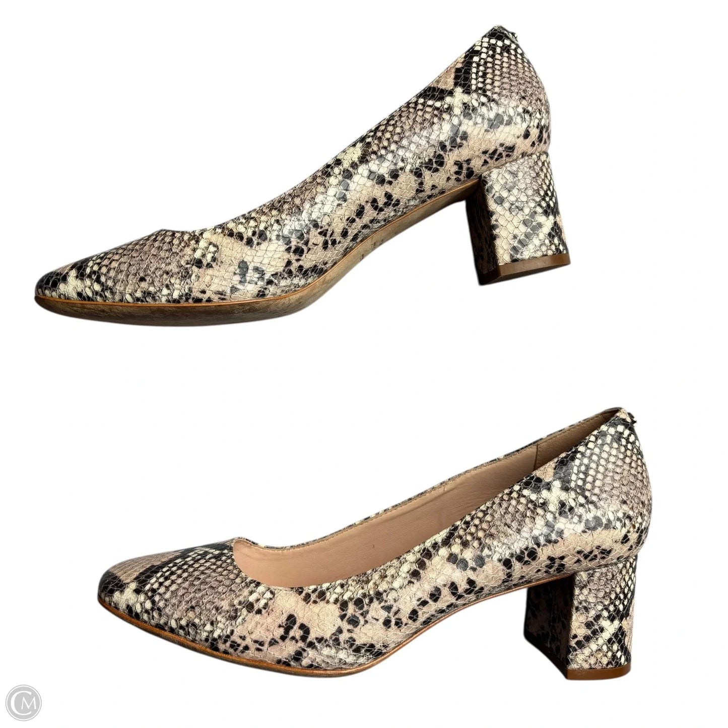 Shoes Designer By Kate Spade In Snakeskin Print, Size: 8