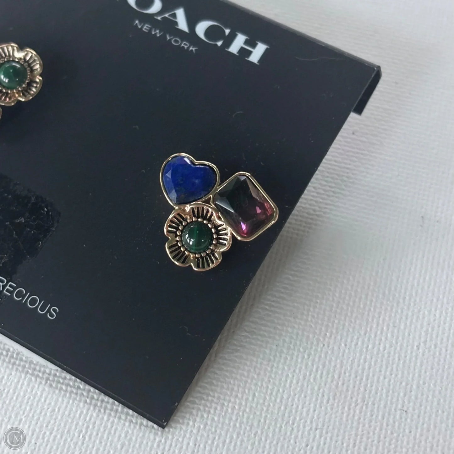 Earrings Designer By Coach