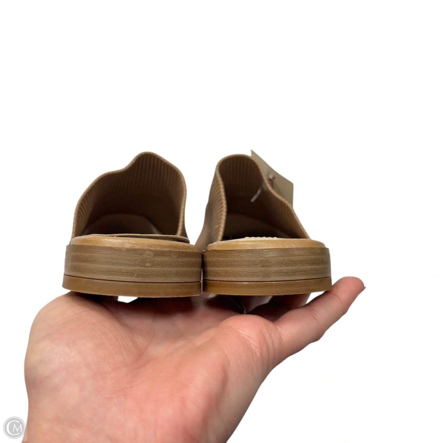 Shoes Flats By Steven New York In Tan, Size: 8