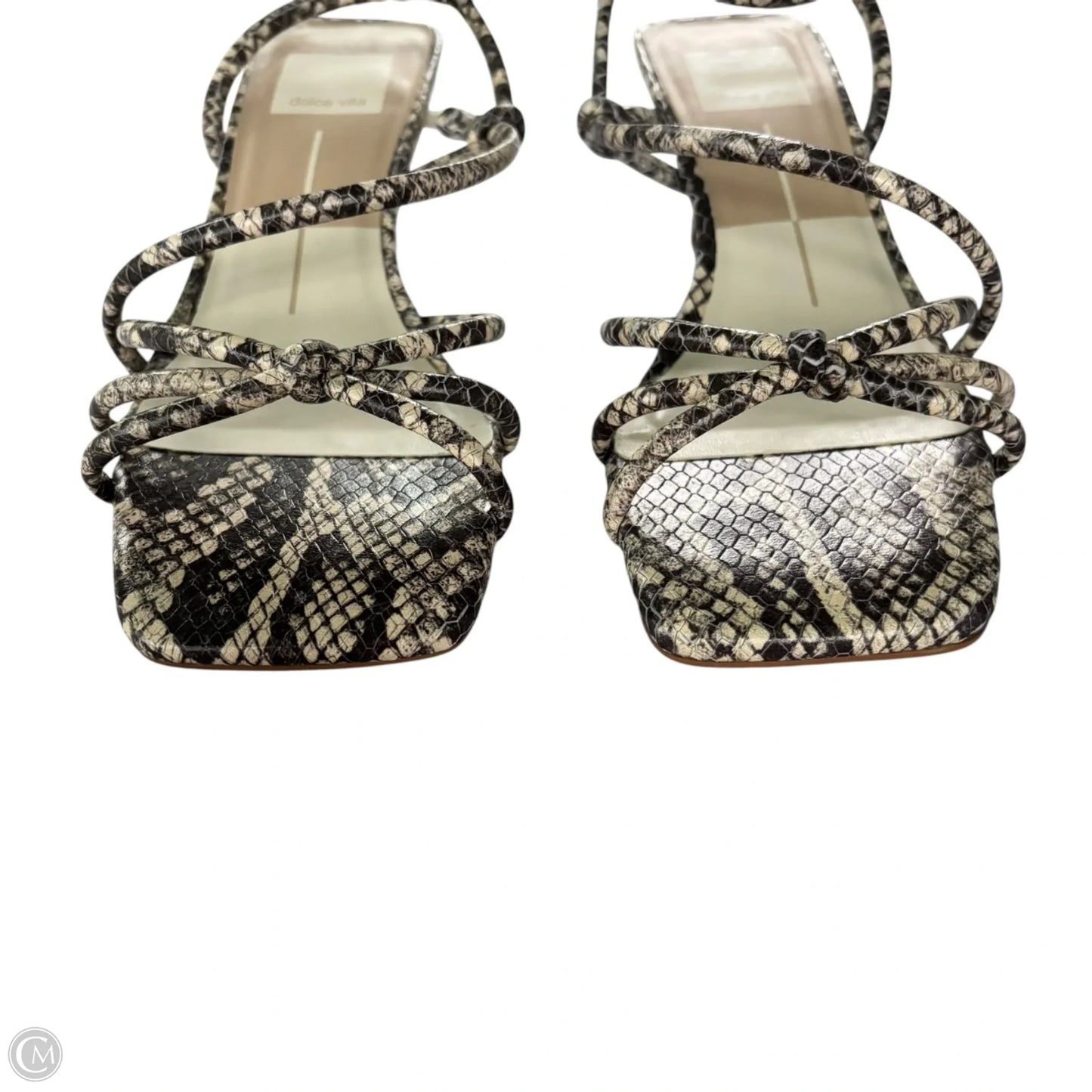Sandals Heels Kitten By Dolce Vita In Snakeskin Print, Size: 6.5