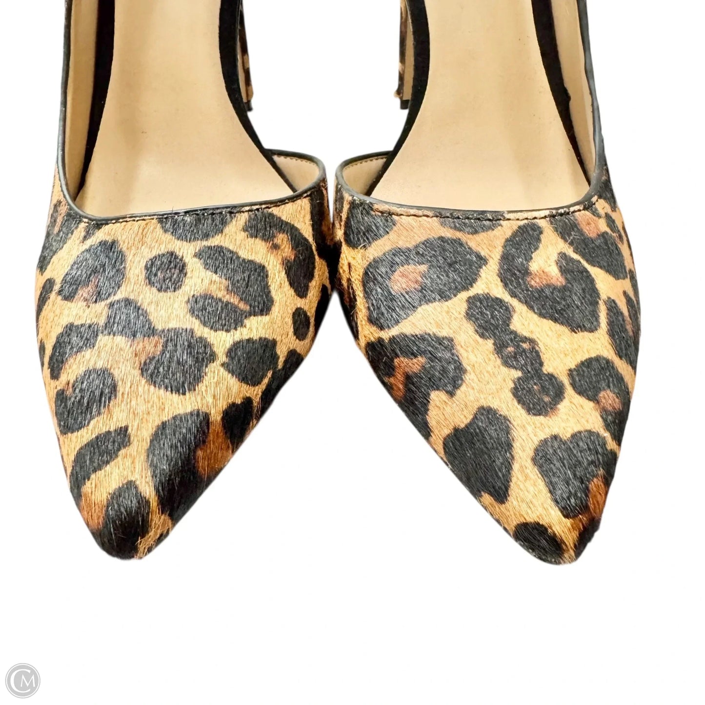Shoes Heels Stiletto By Inc In Leopard Print, Size: 7
