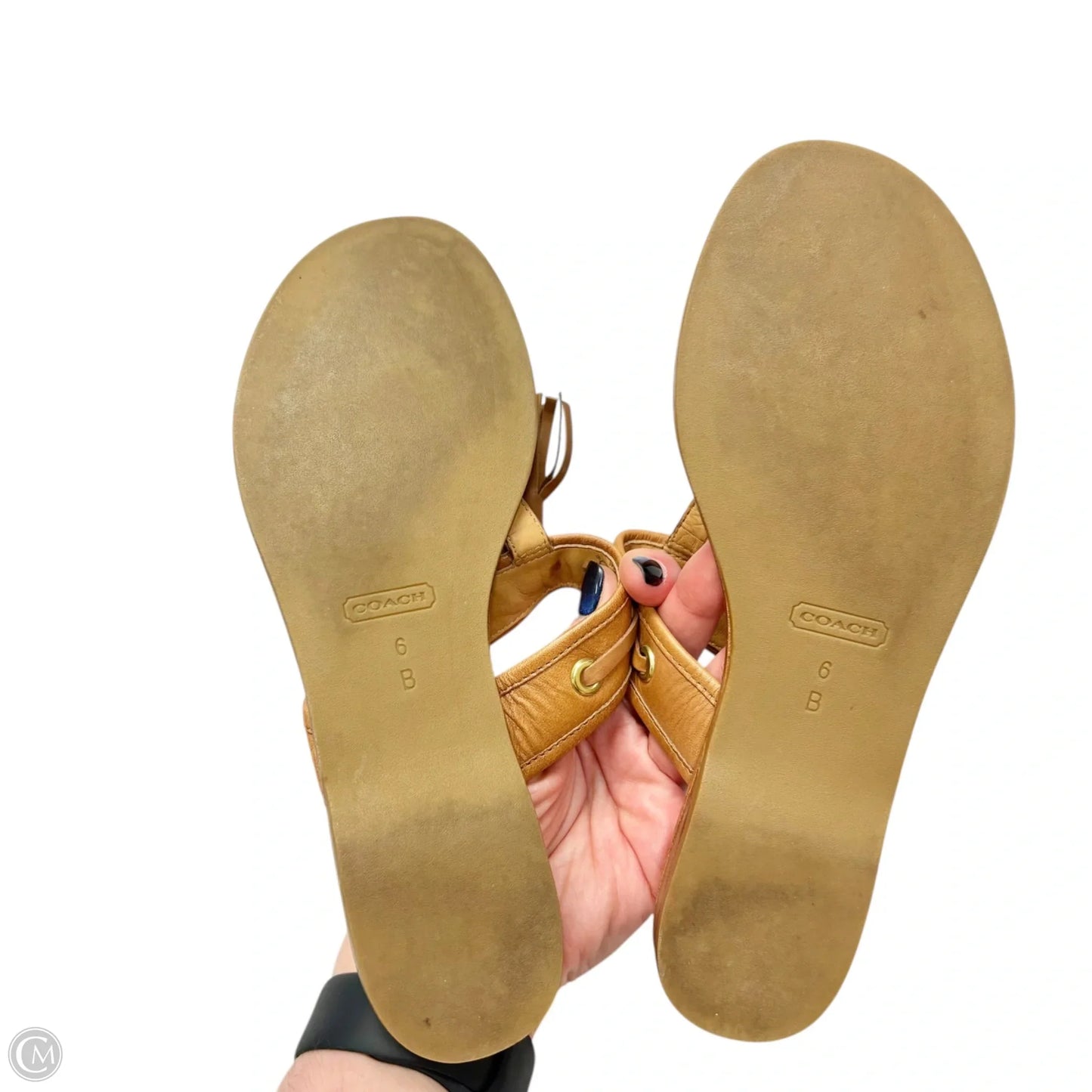 Sandals Designer By Coach In Brown, Size: 6