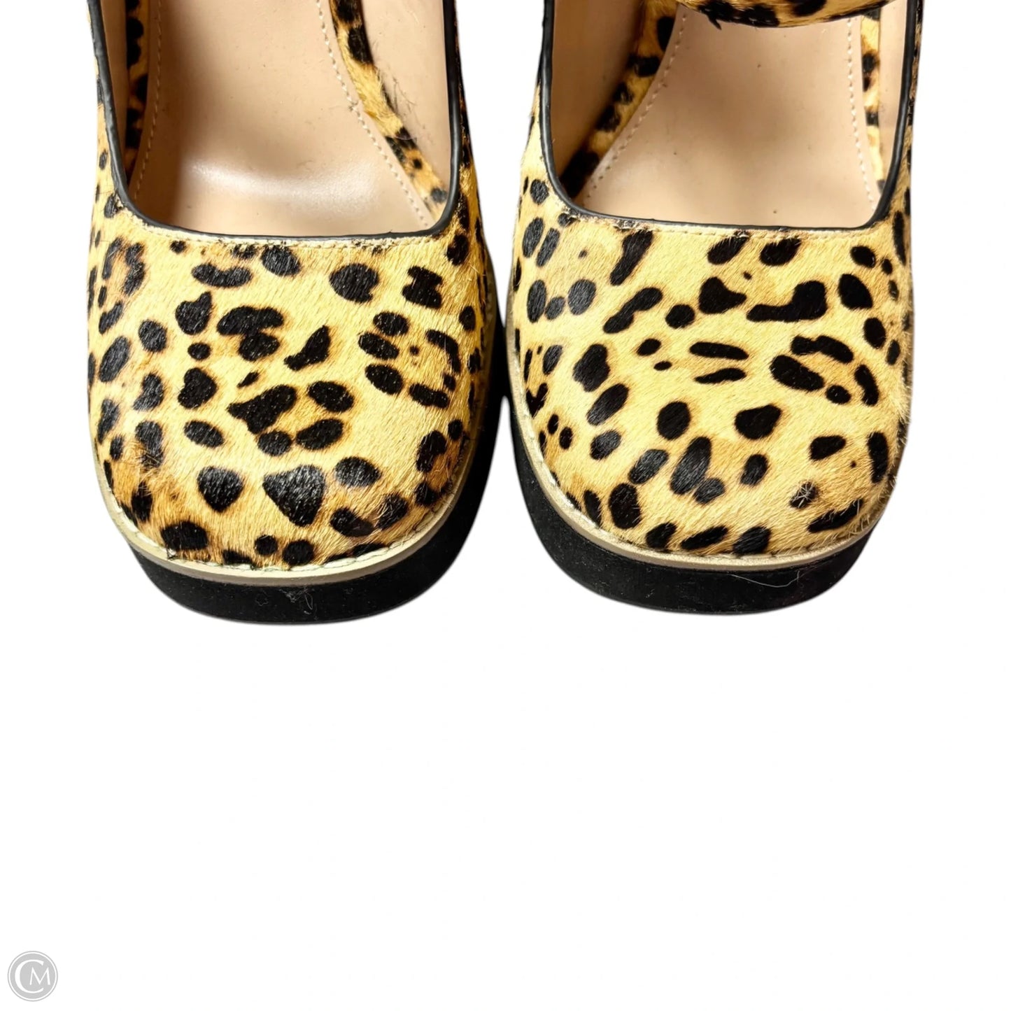 Shoes Heels Block By Steve Madden In Leopard Print, Size: 8.5