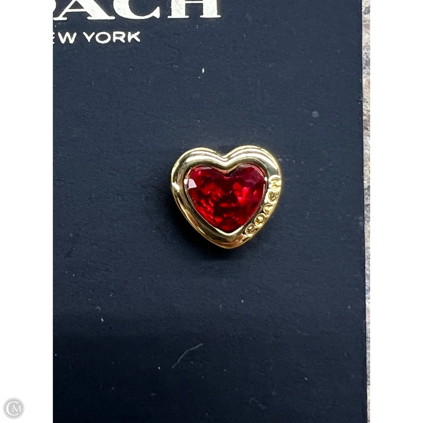 Earrings Designer By Coach
