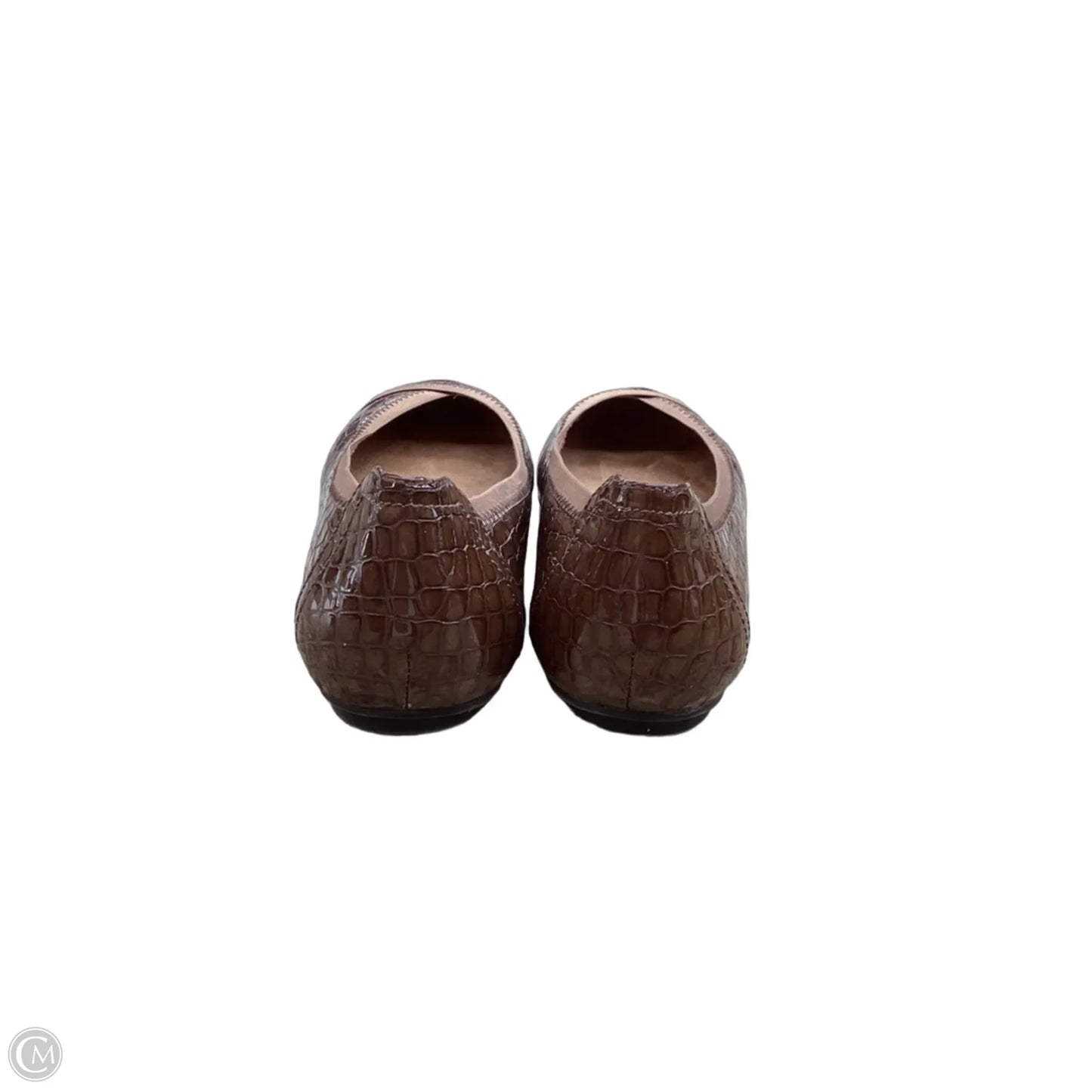 Shoes Flats By Vionic In Brown, Size: 9