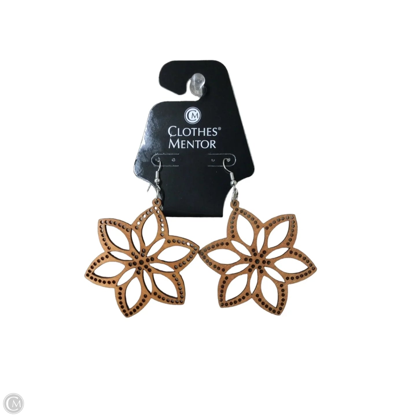 Earrings Dangle/drop By Clothes Mentor
