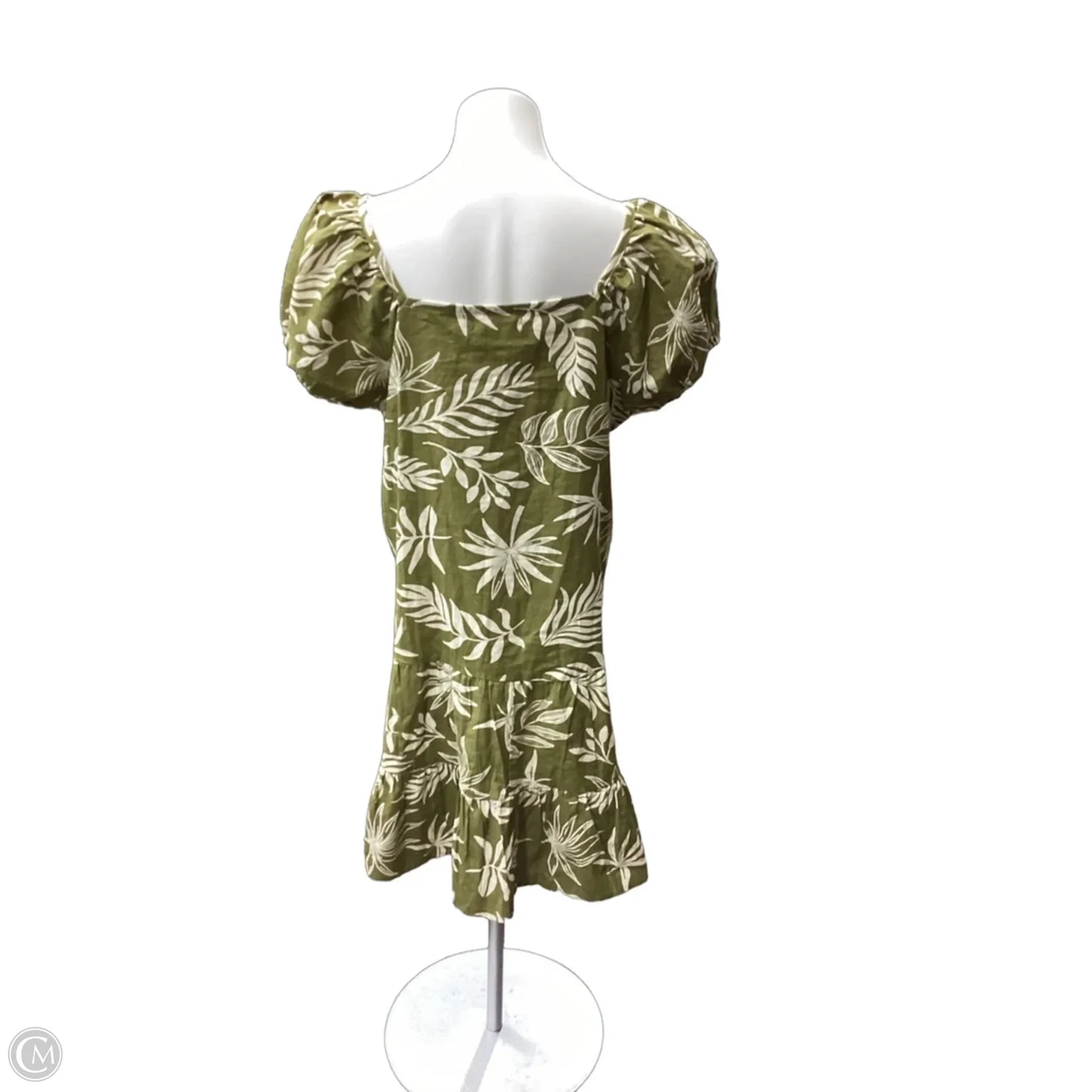 Dress Casual Short By Clothes Mentor In Cream & Green, Size: Xl