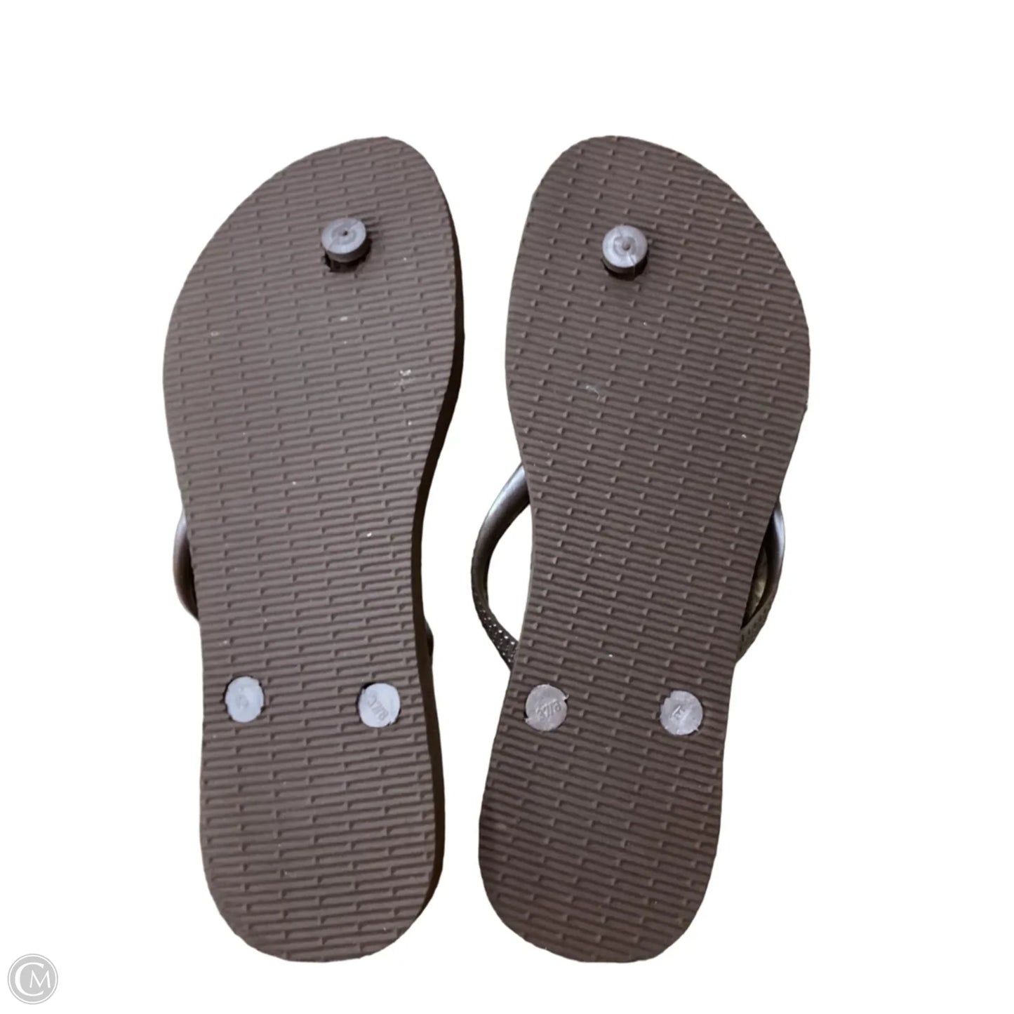 Sandals Flats By Havaianas In Brown & Purple, Size: 8