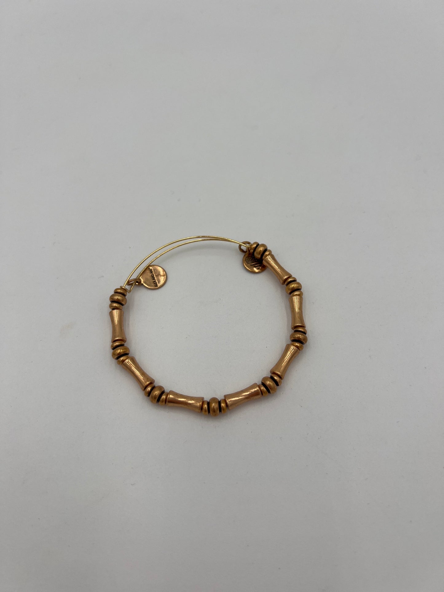 Bracelet Charm By Alex And Ani