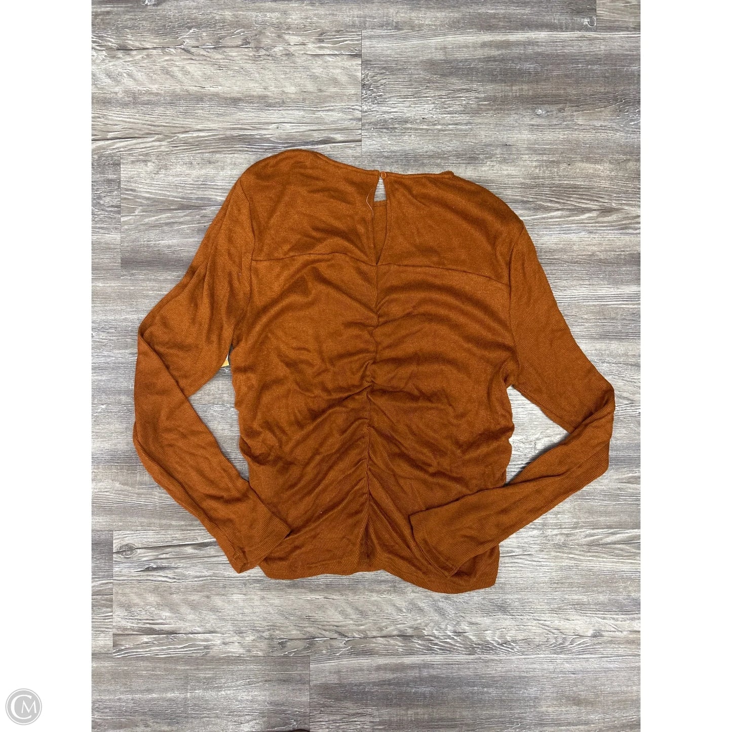 Top Long Sleeve Designer By Walter Baker In Brown, Size: L