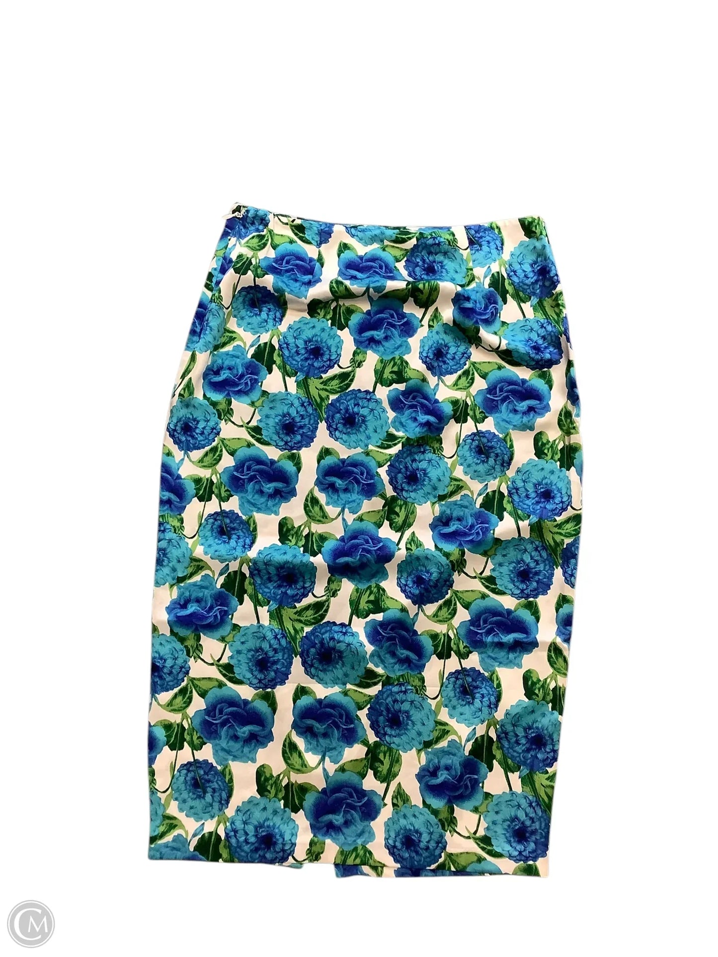 Skirt Maxi By New York And Co  Size: 12