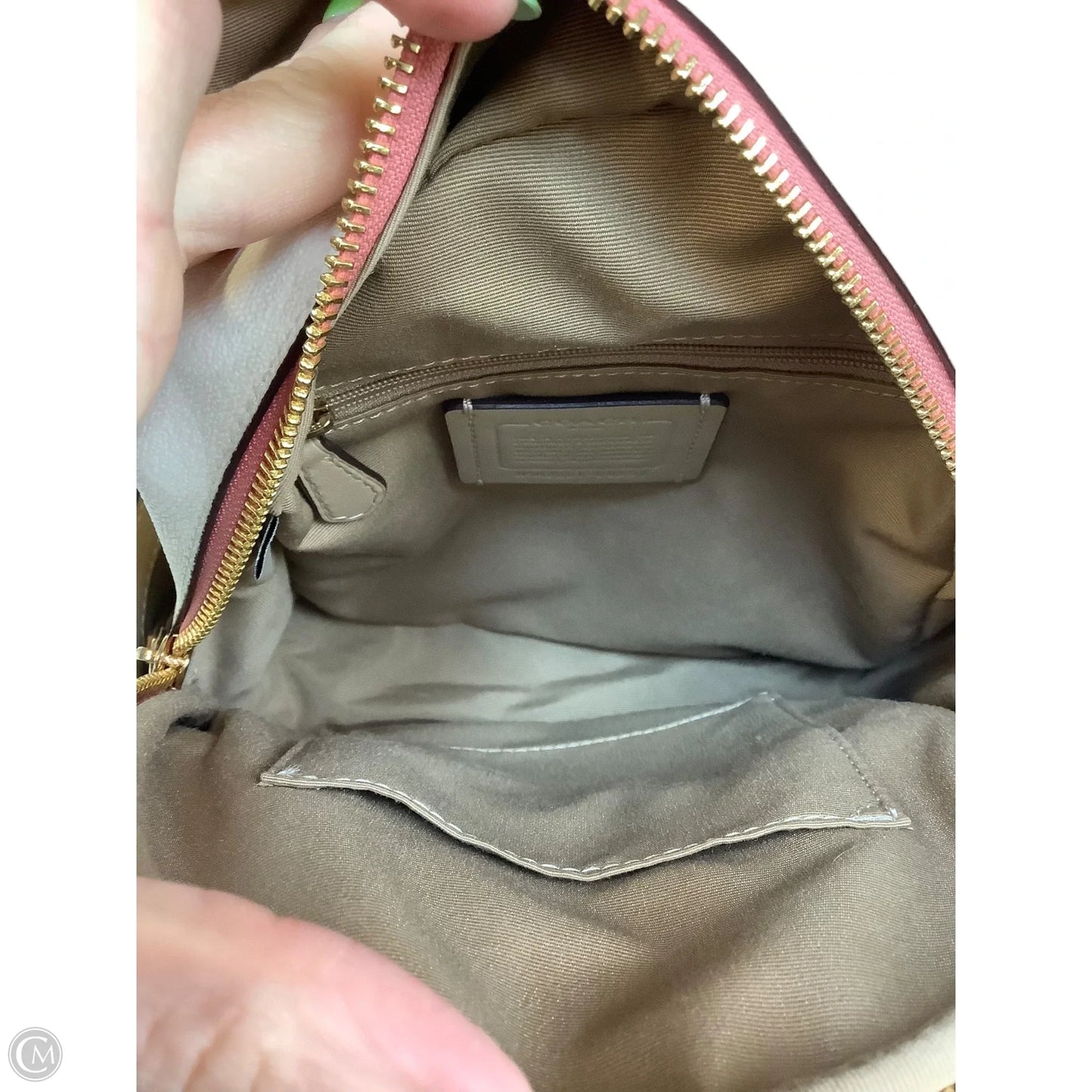 Backpack Designer By Coach, Size: Small
