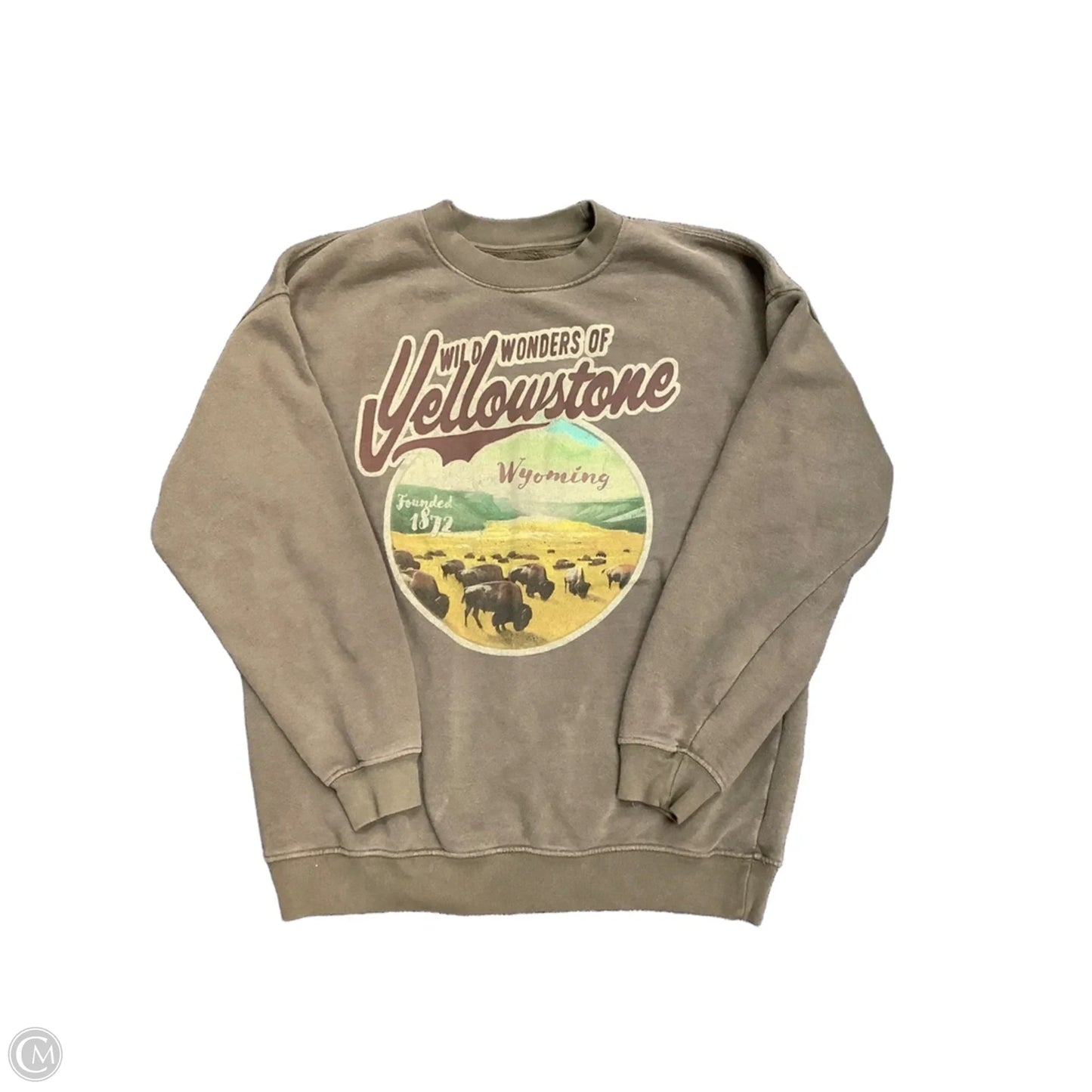 Sweatshirt Crewneck By State Of Mine In Brown, Size: M