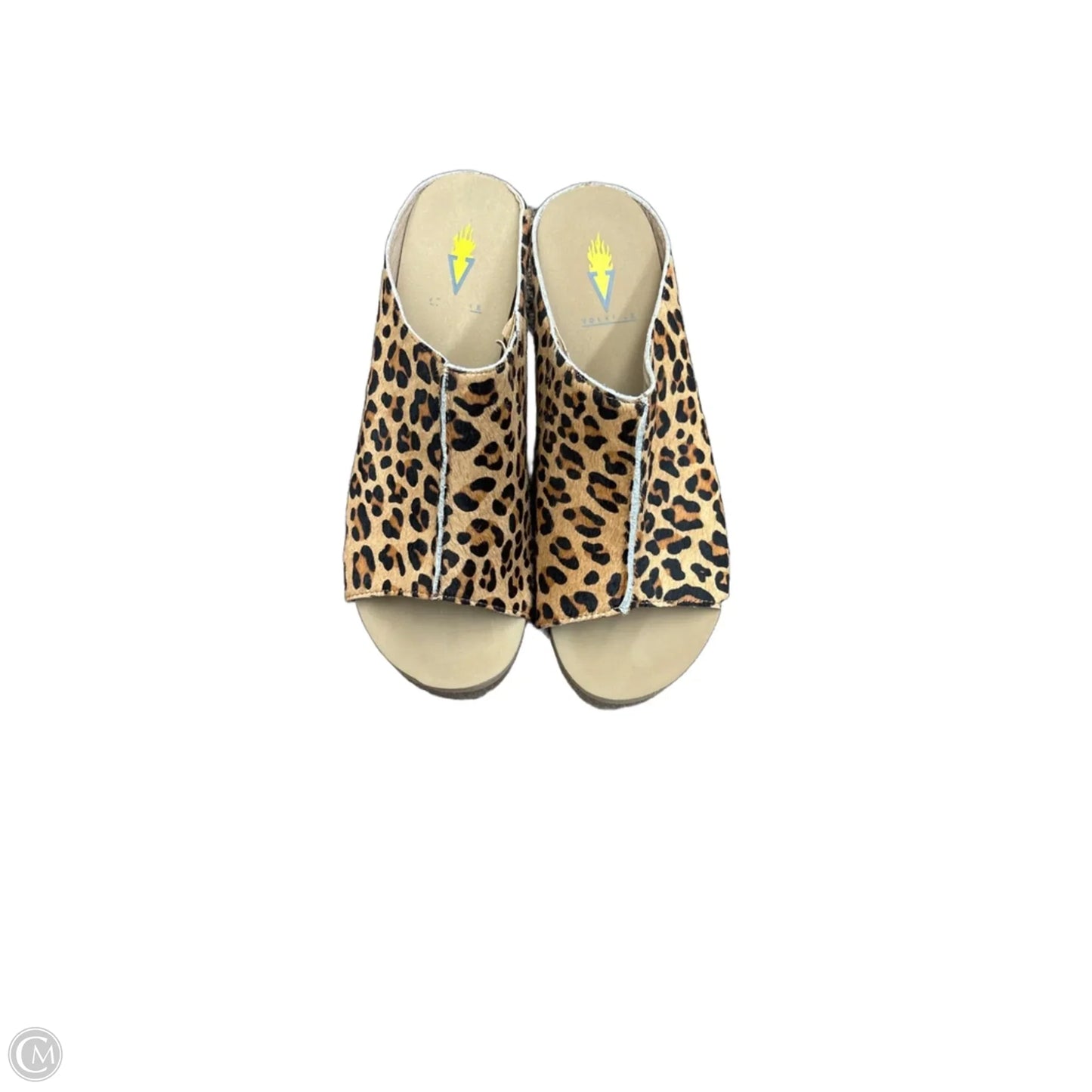 Shoes Heels Platform By Volatile In Animal Print, Size: 8