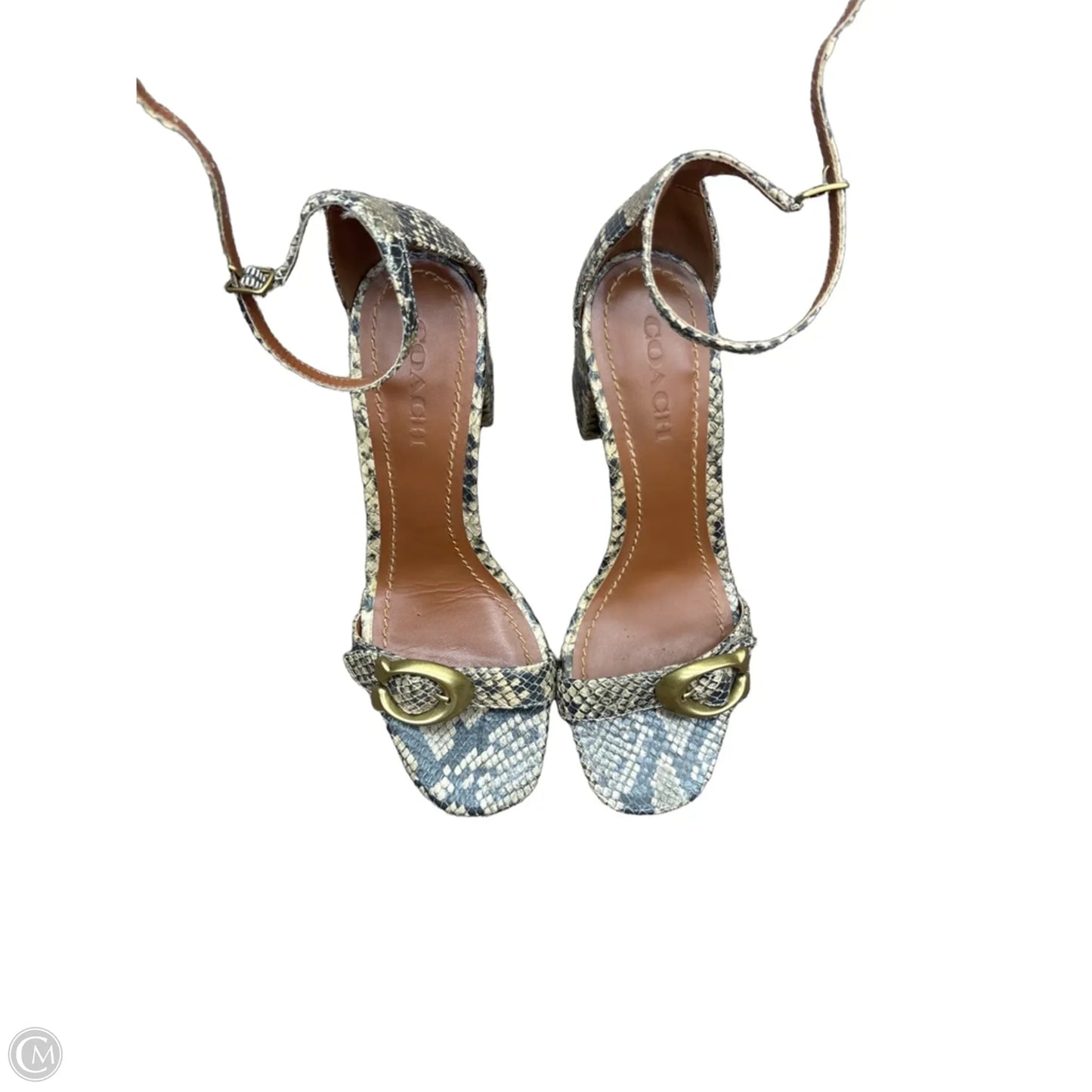 Shoes Designer By Coach In Animal Print, Size: 8.5